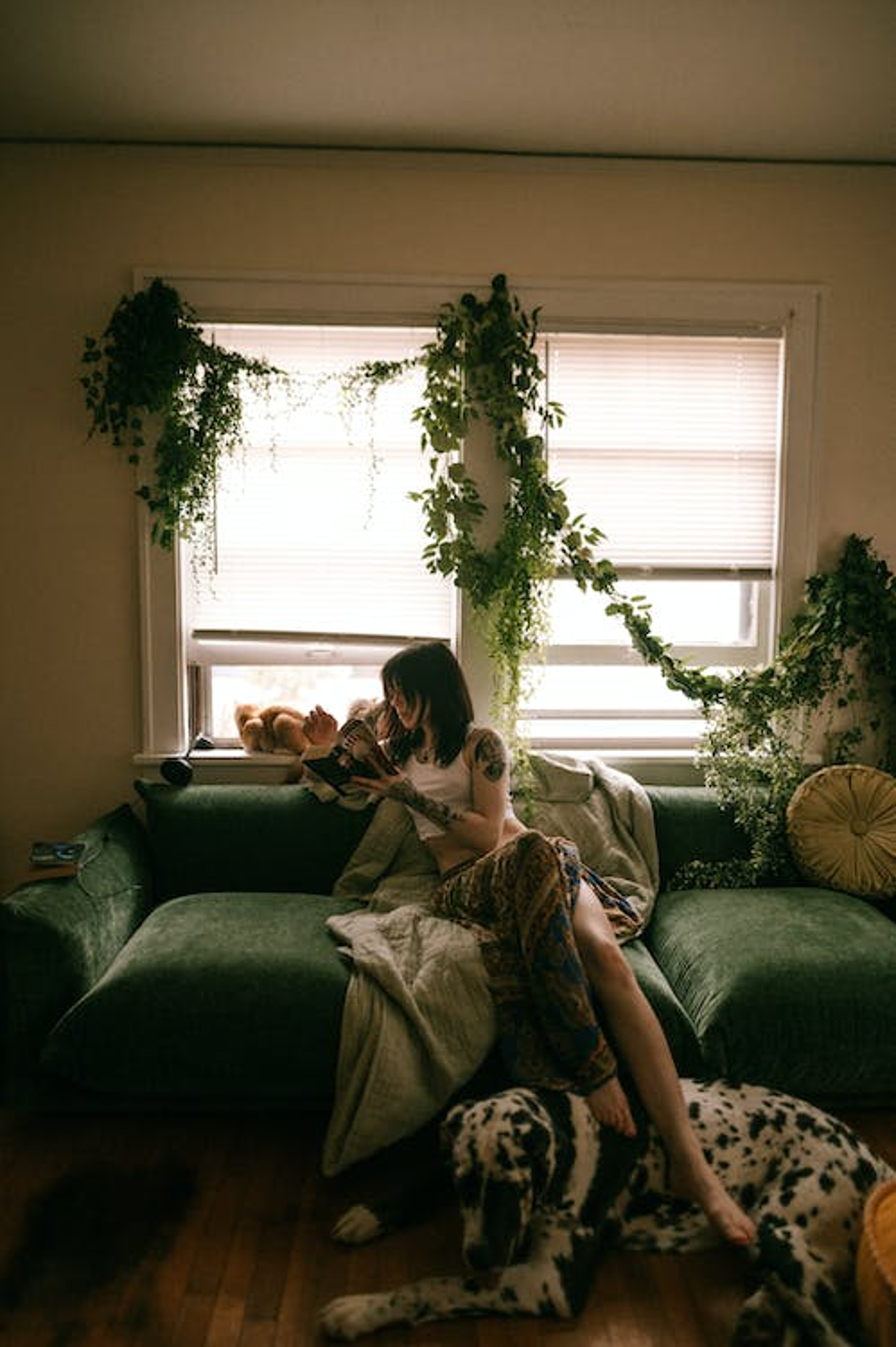 Shop cover image