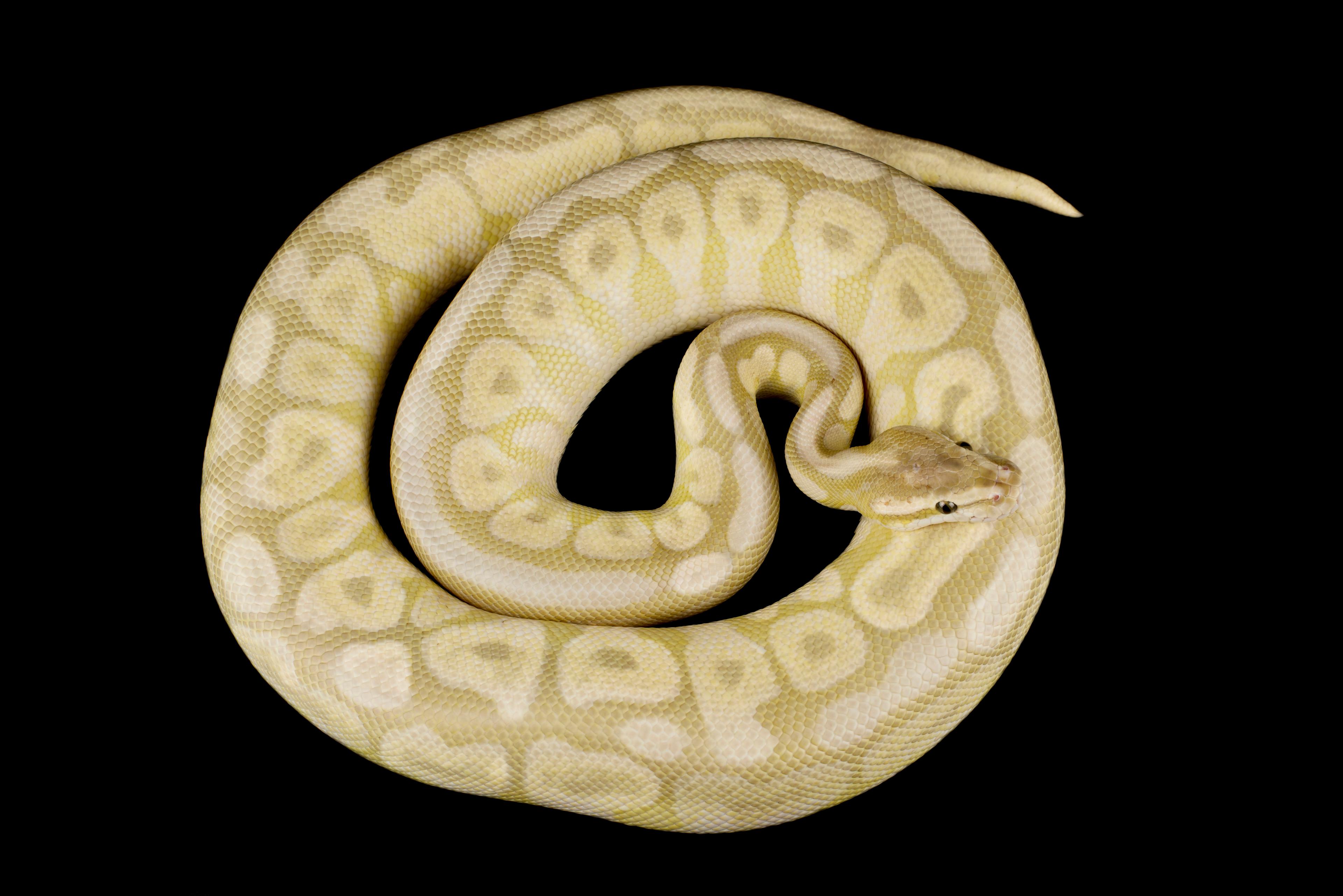 Shop cover image