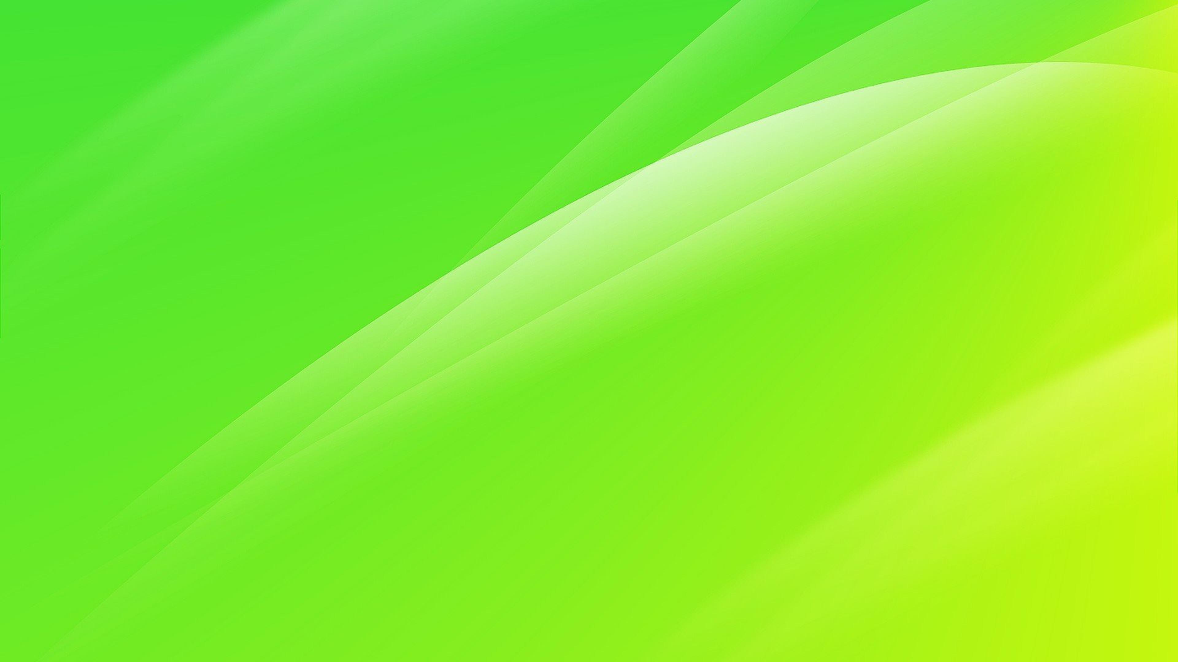 Shop cover image