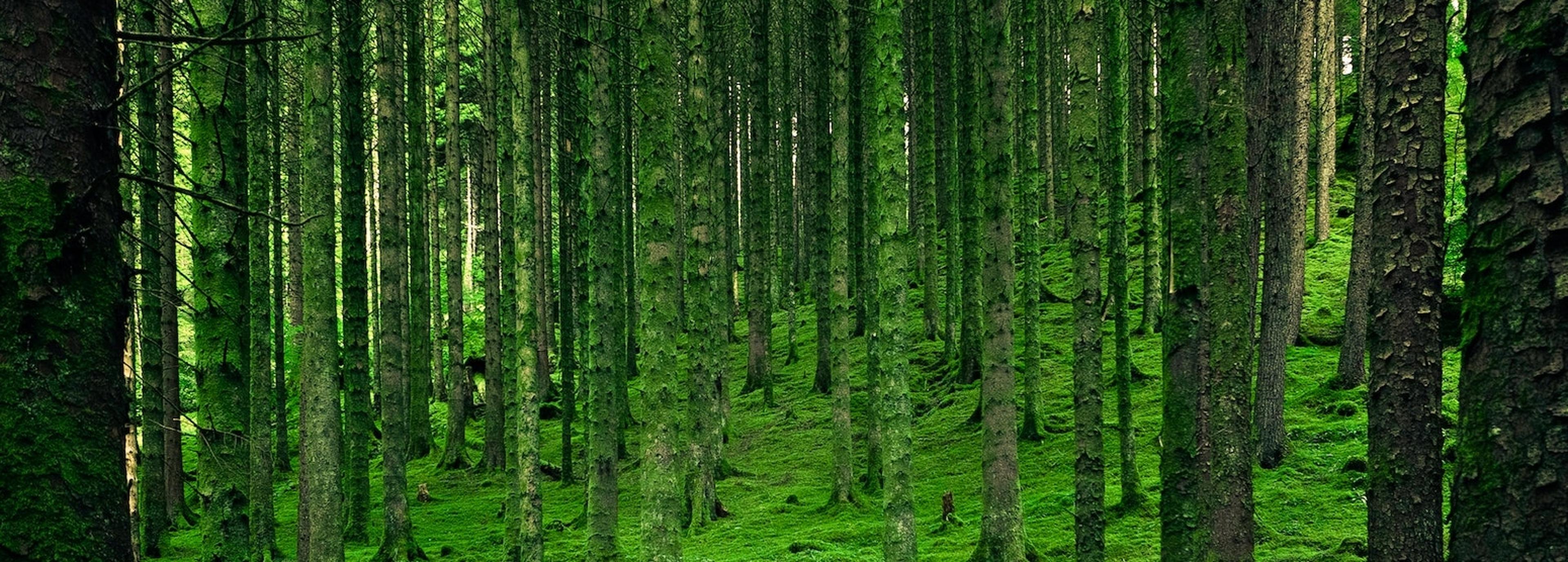 Shop cover image