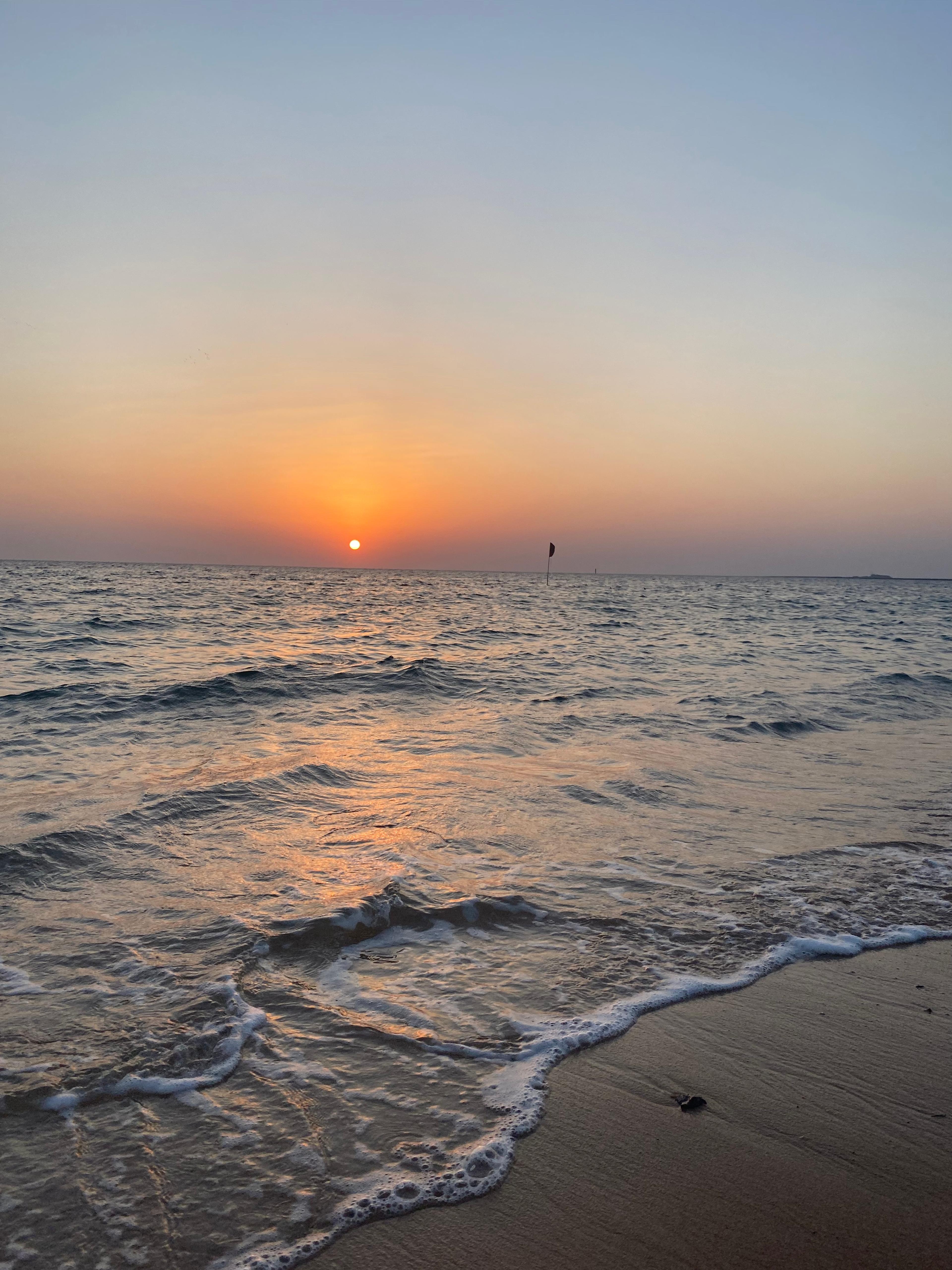 Shop cover image