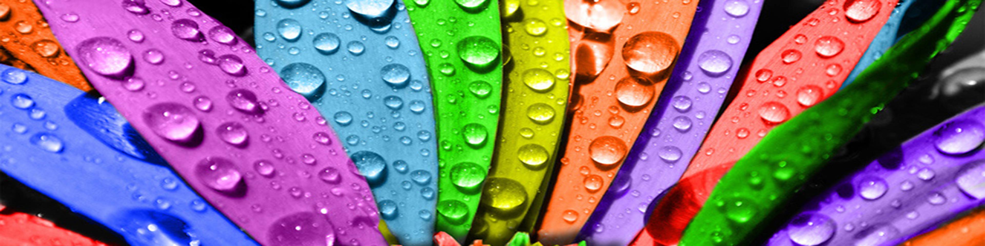 Shop cover image