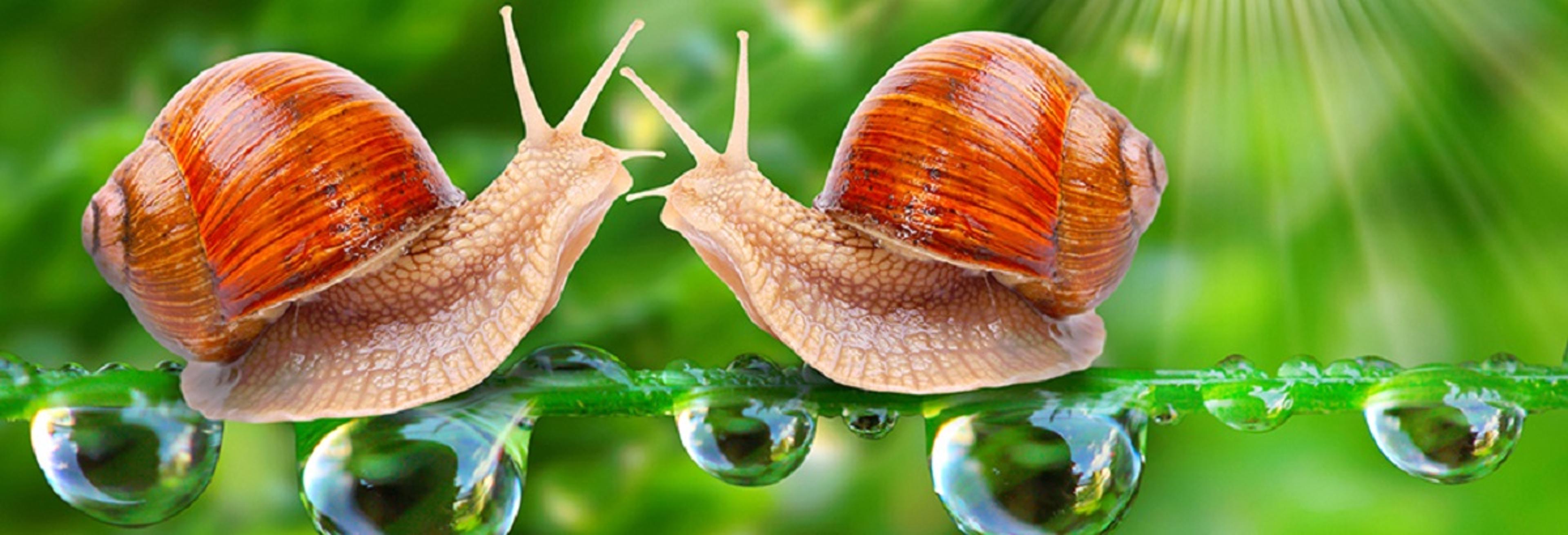 Shop cover image
