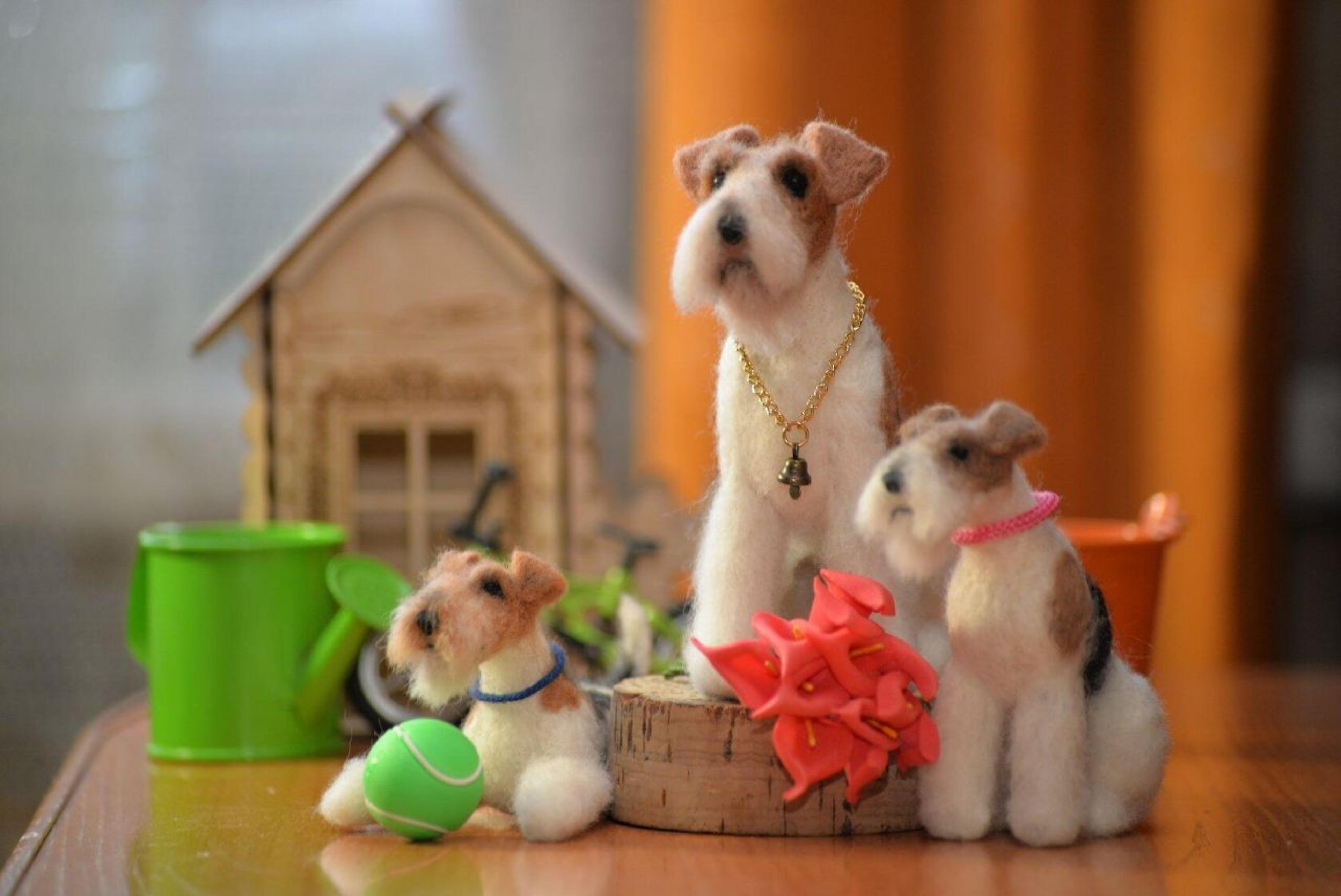 Shop cover image