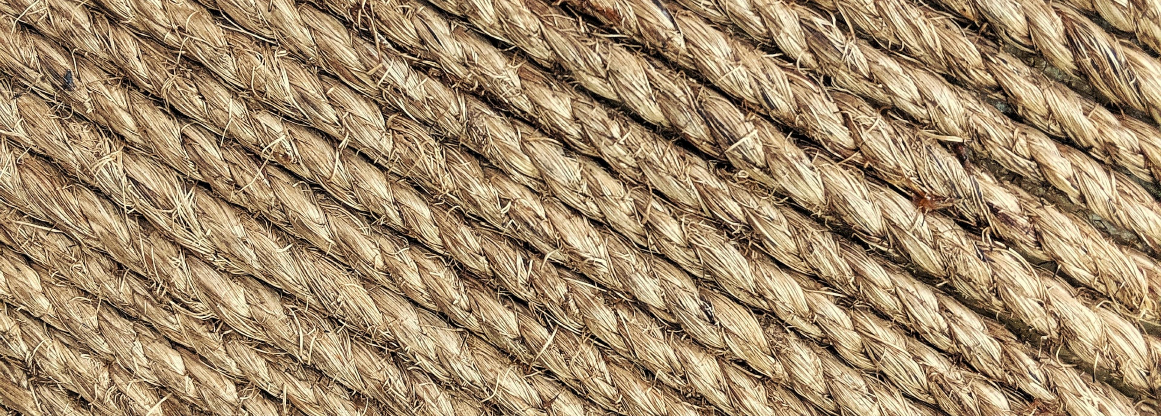 Shop cover image