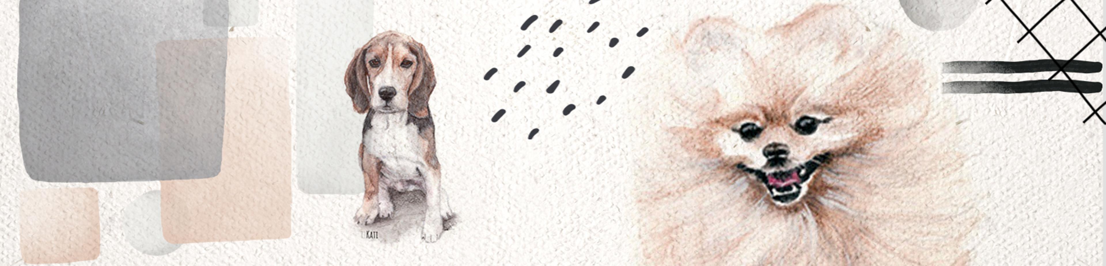 Shop cover image