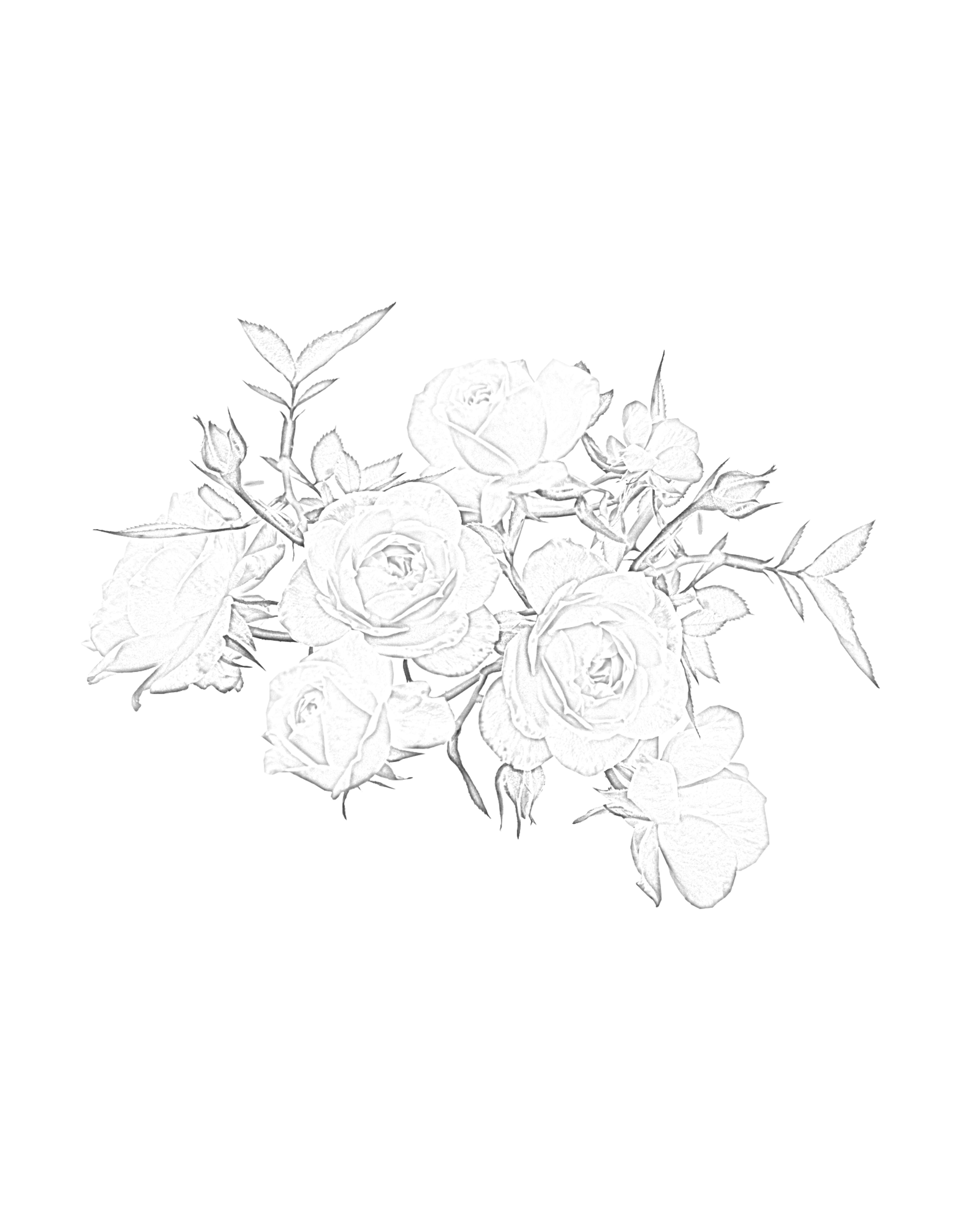 Shop cover image