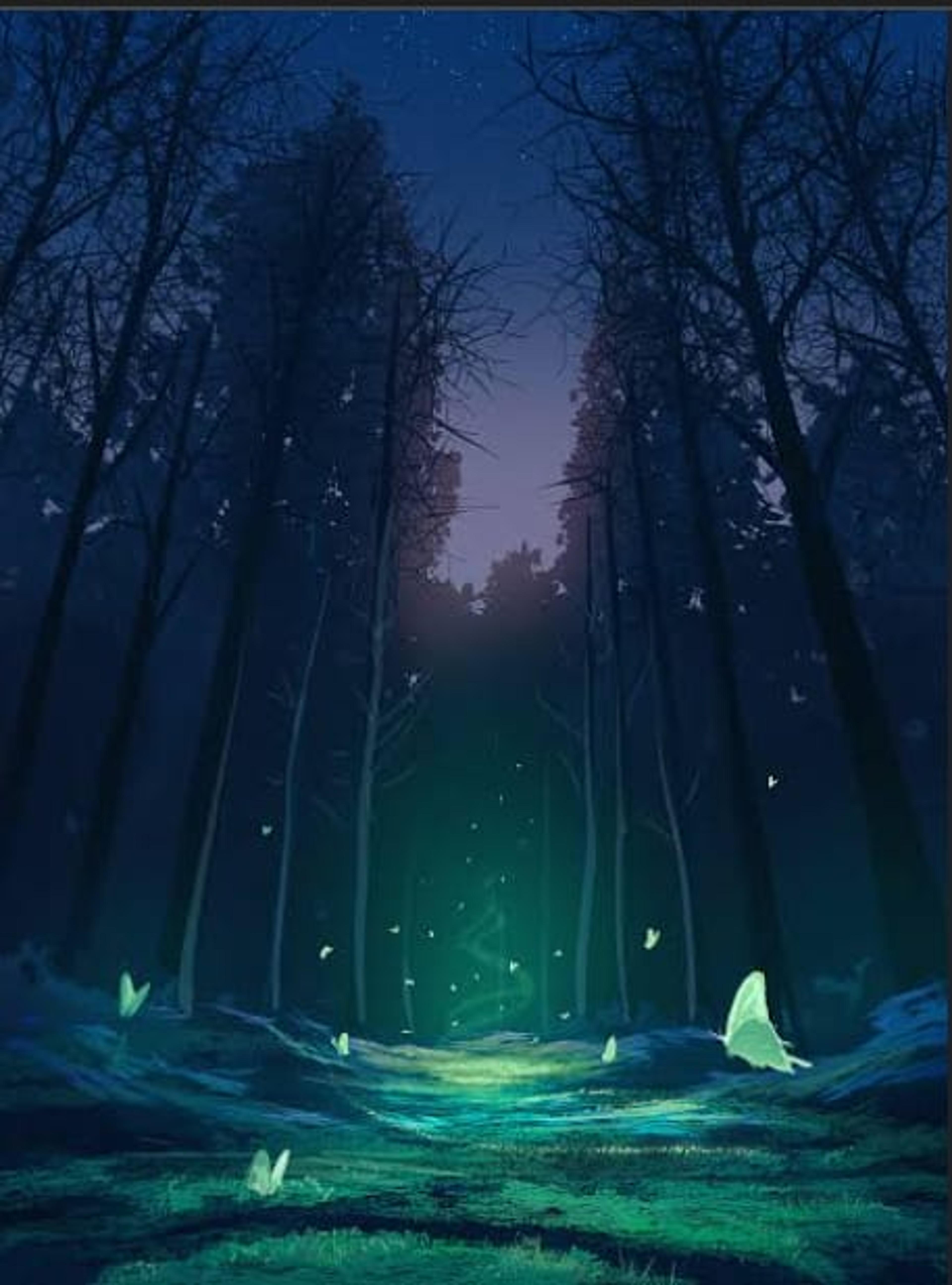 Shop cover image