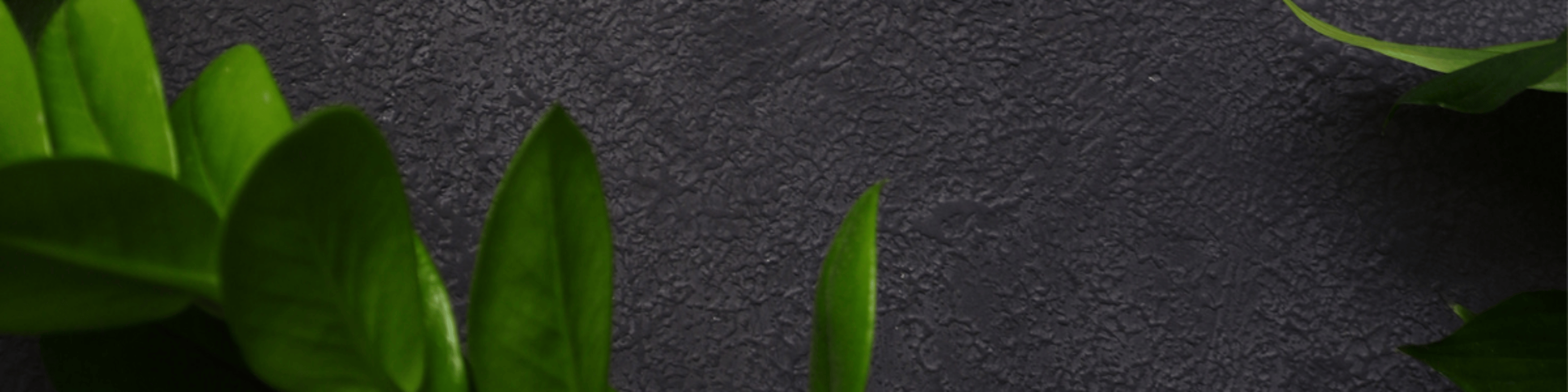 Shop cover image