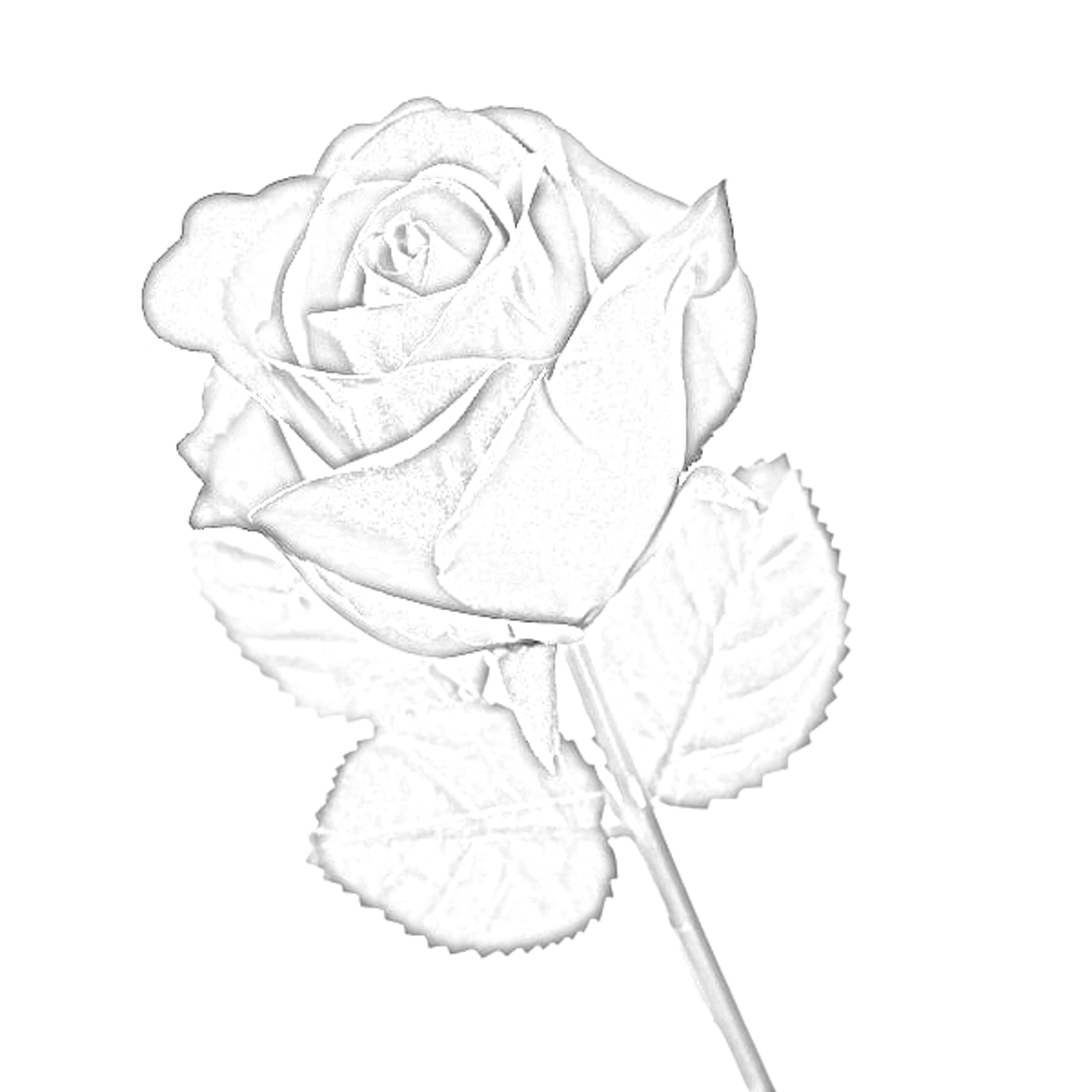 Shop cover image