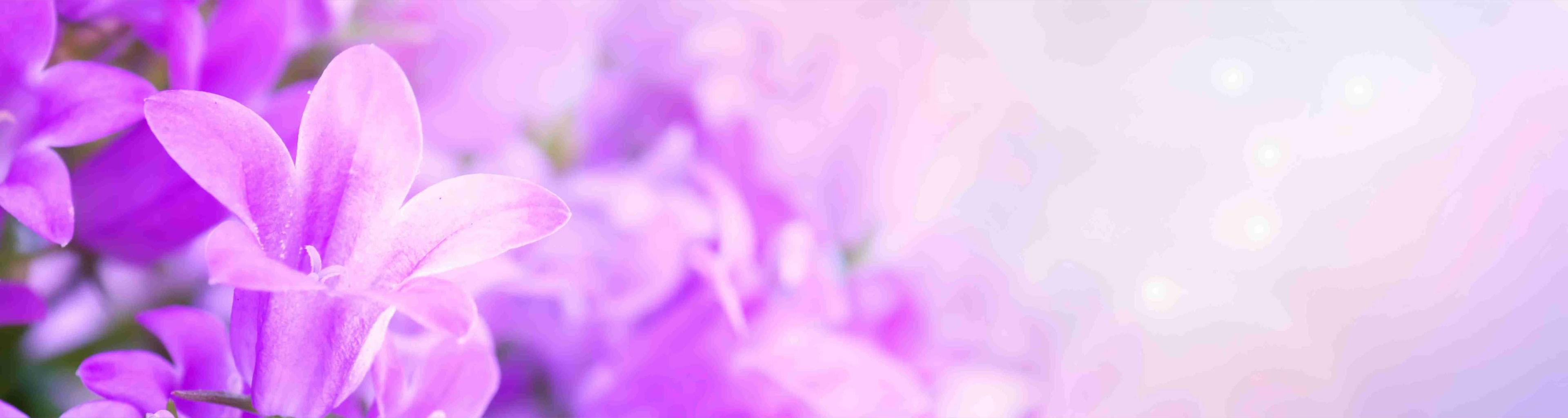 Shop cover image