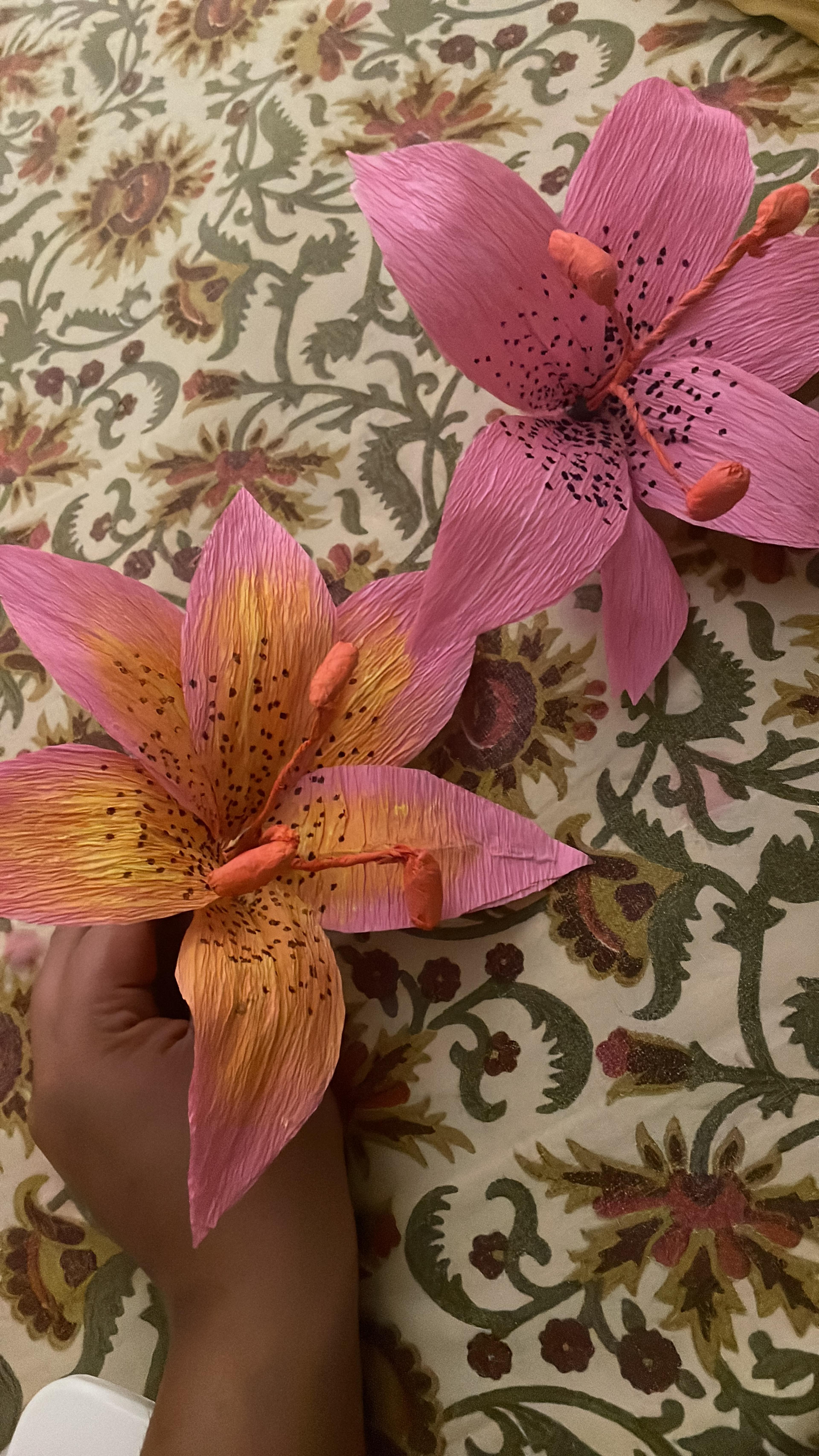 Shop cover image