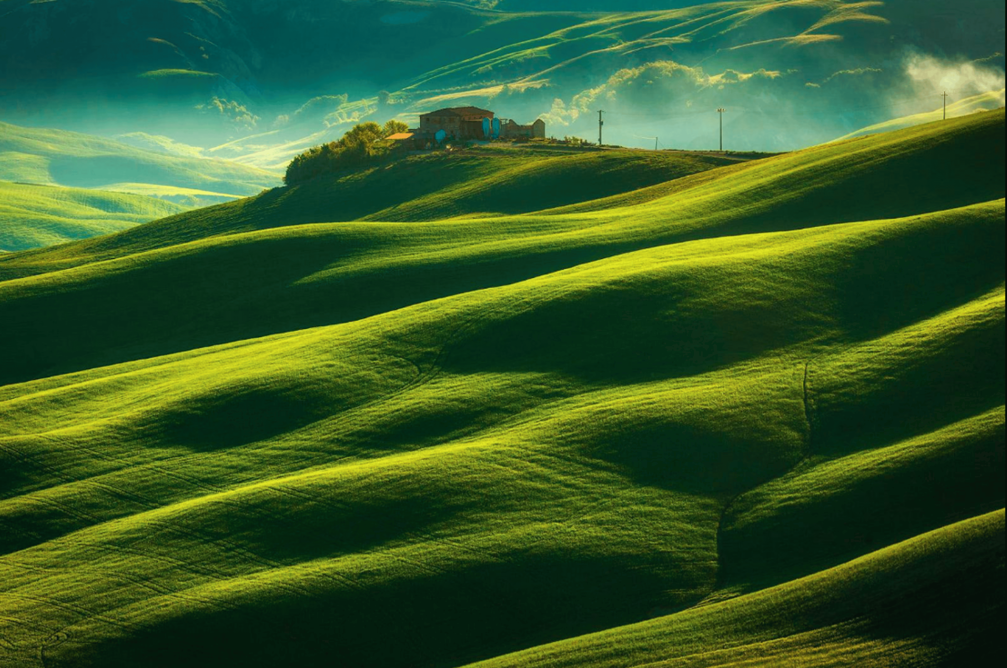 Shop cover image