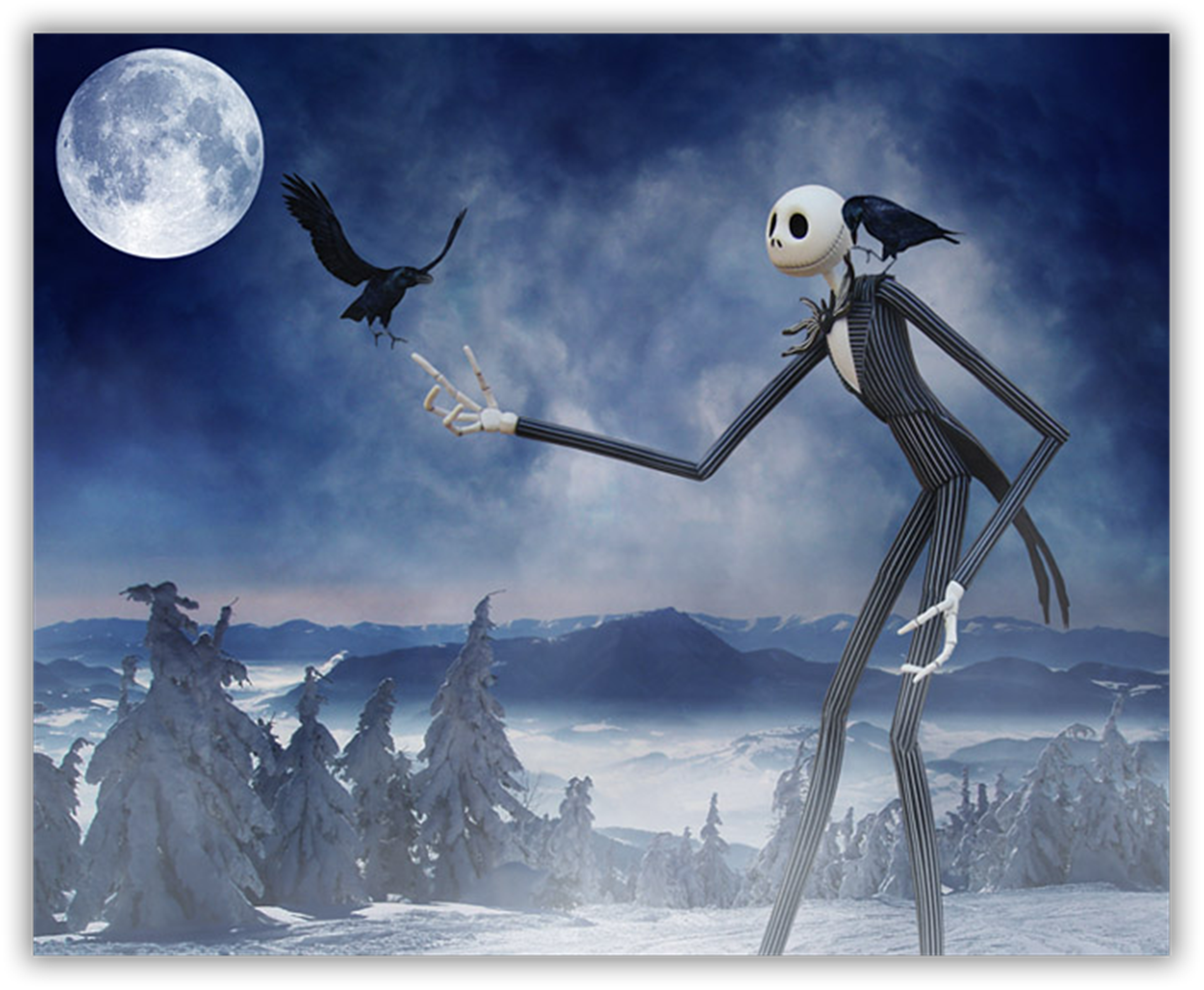 Shop cover image