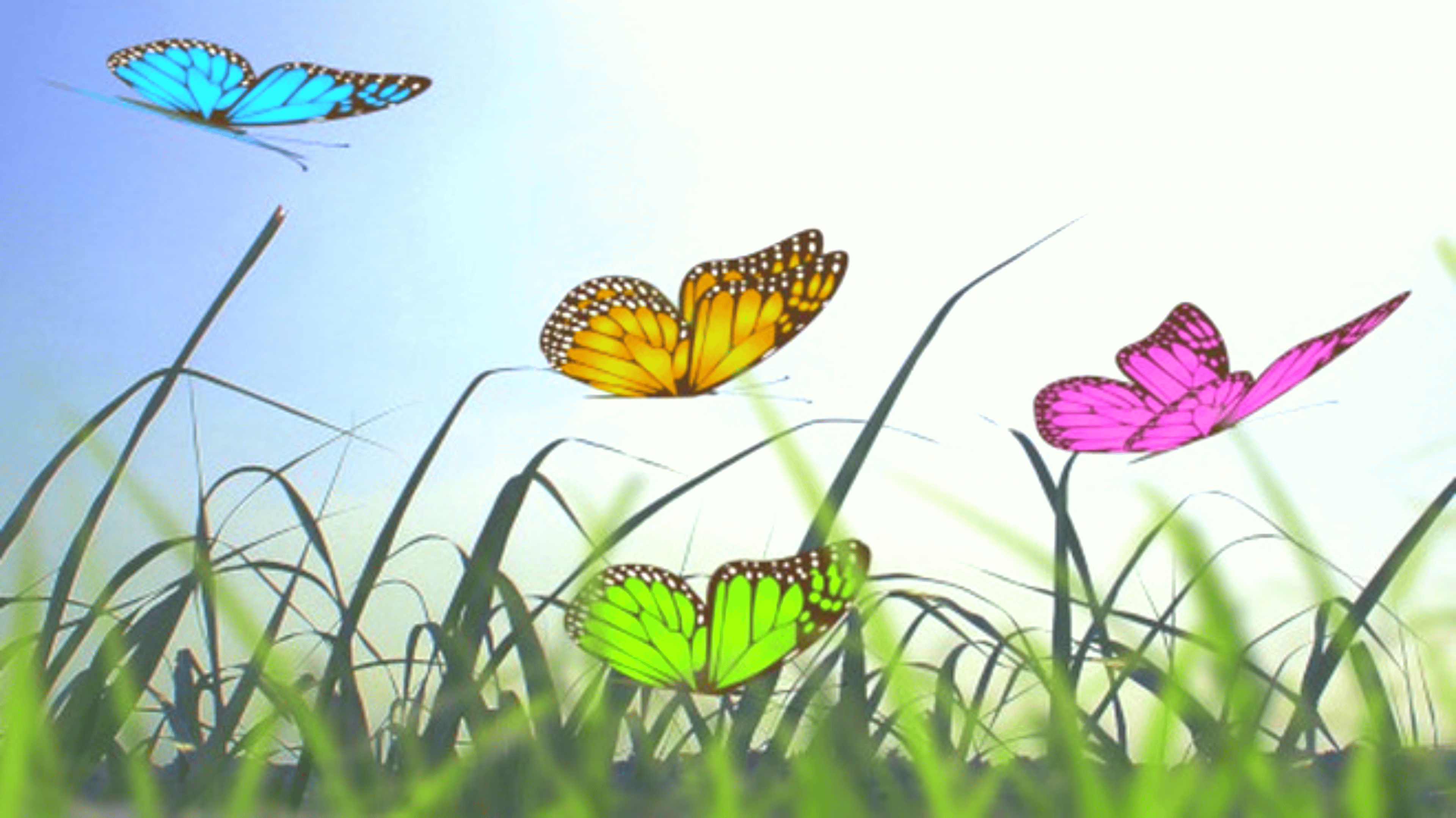 Shop cover image