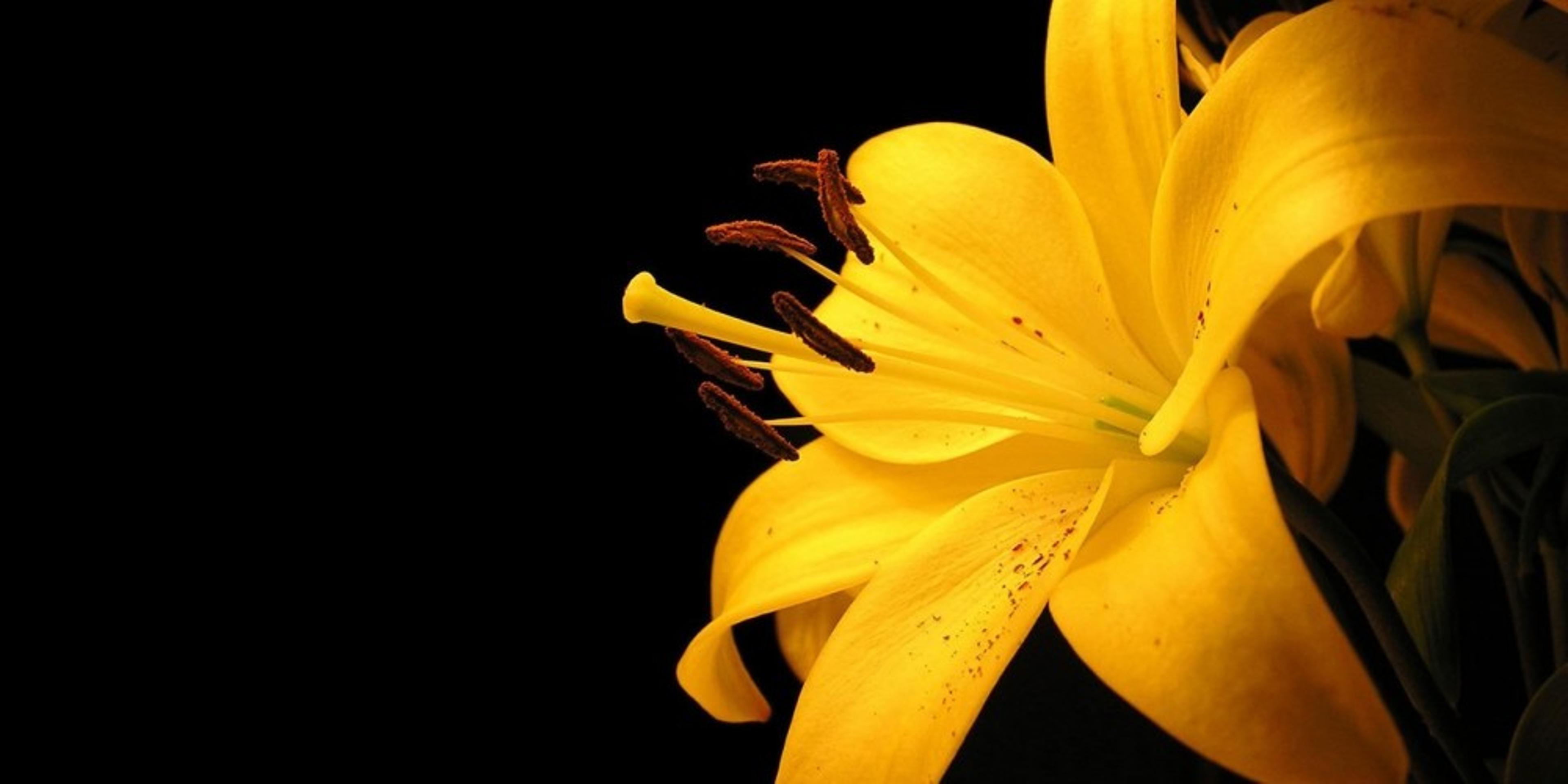 Shop cover image