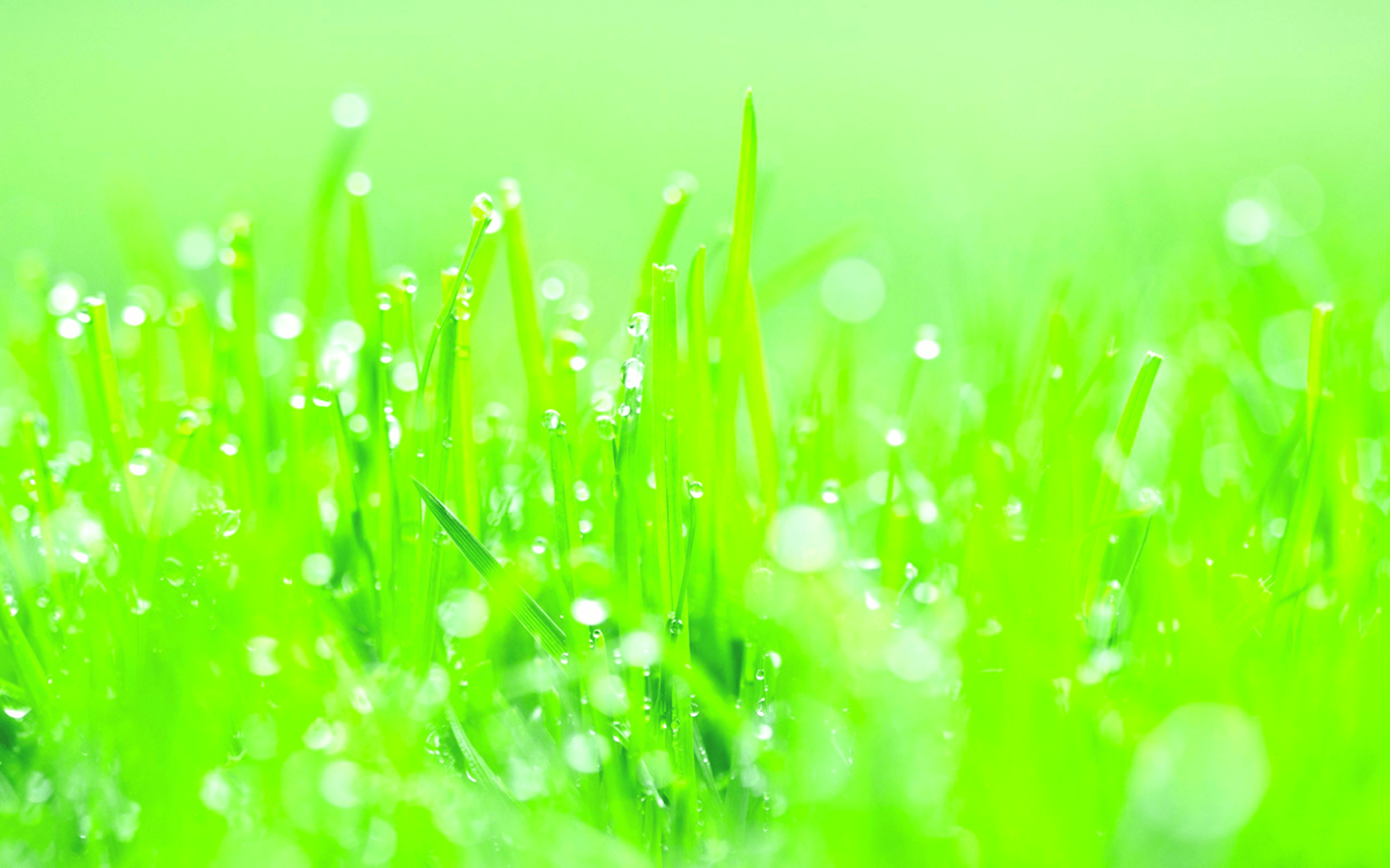 Shop cover image