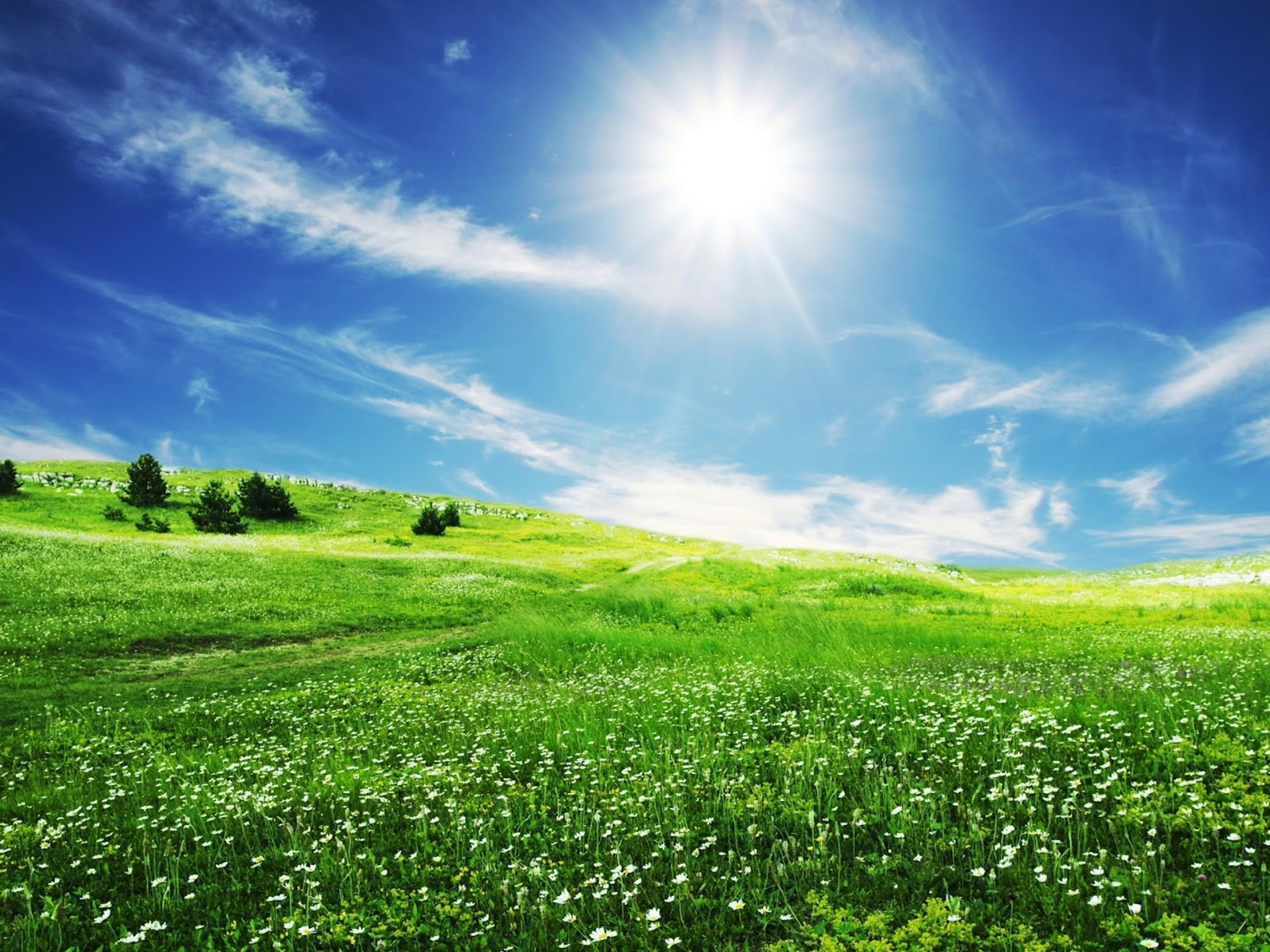 Shop cover image