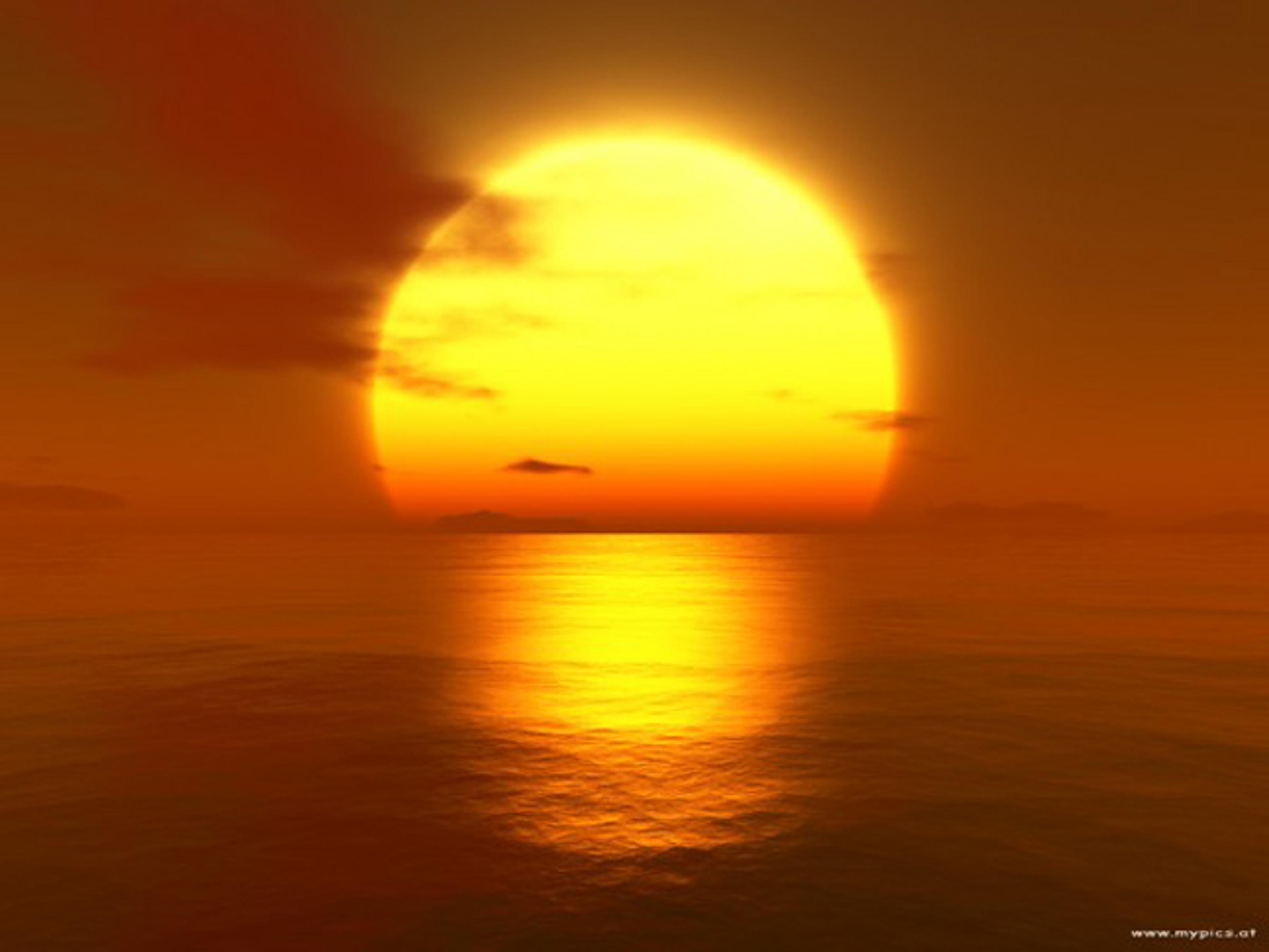 Shop cover image