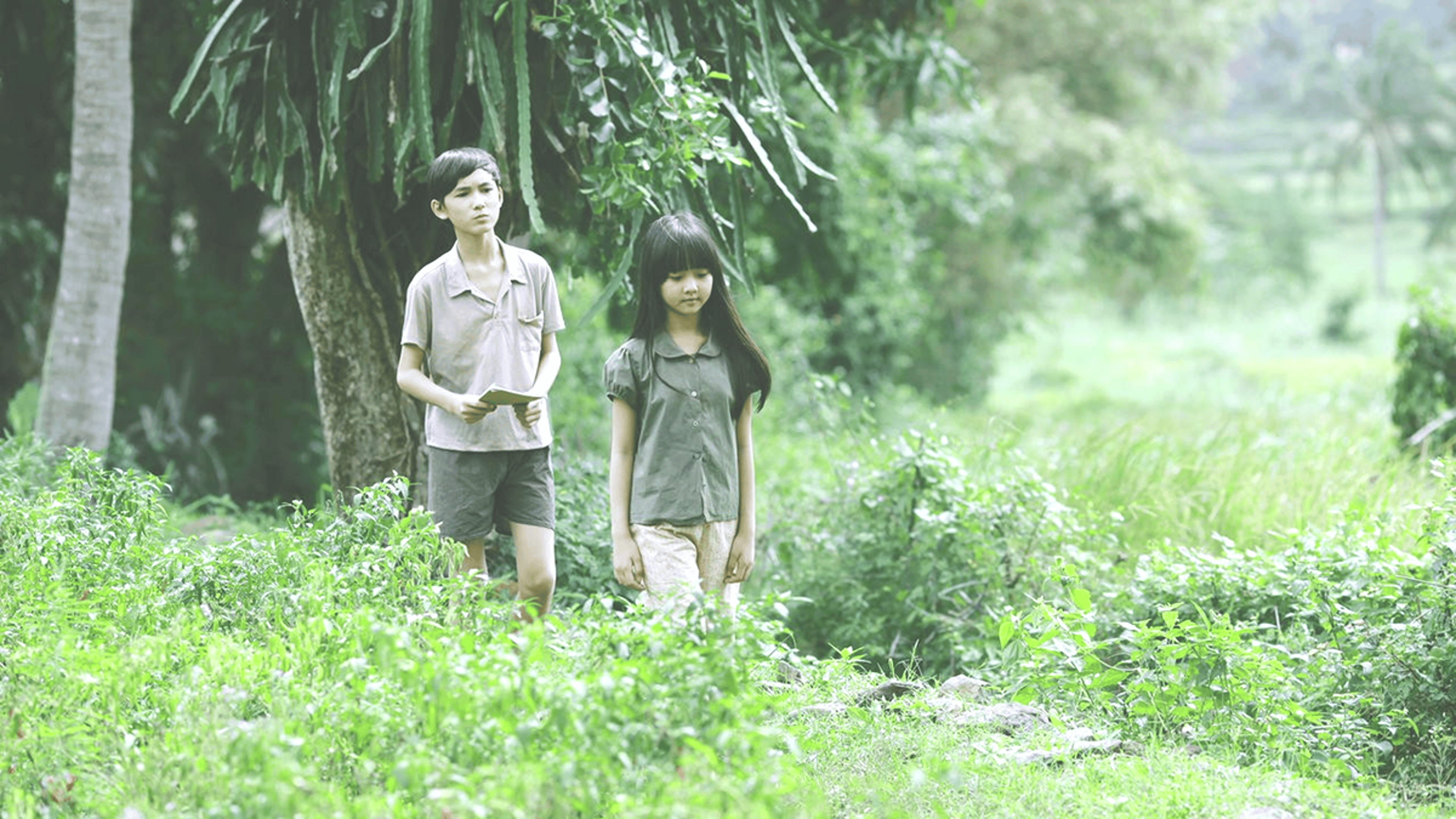 Shop cover image