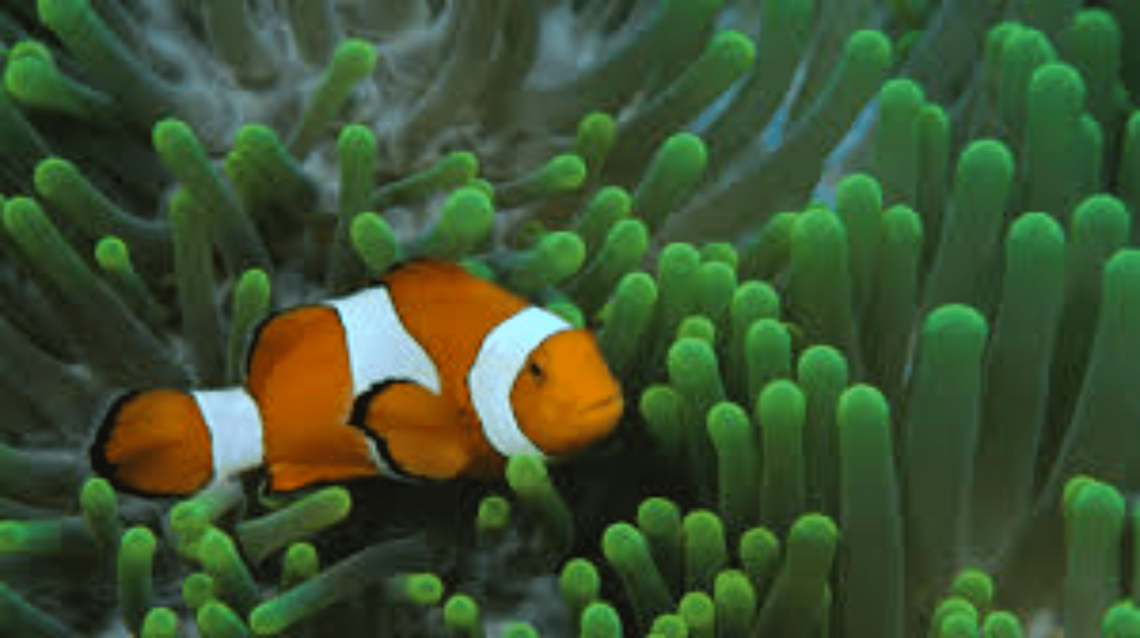 Shop cover image