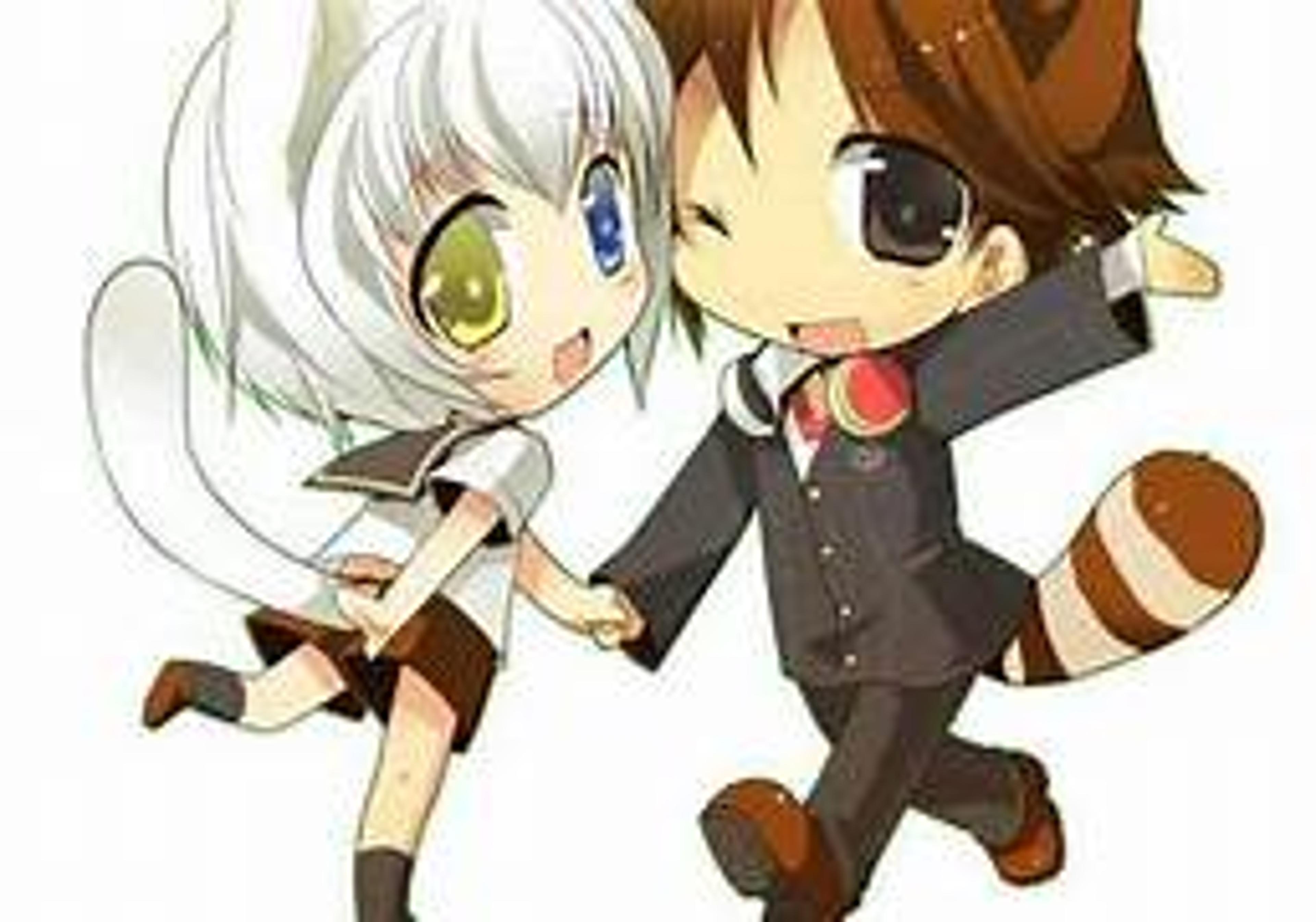 Shop cover image