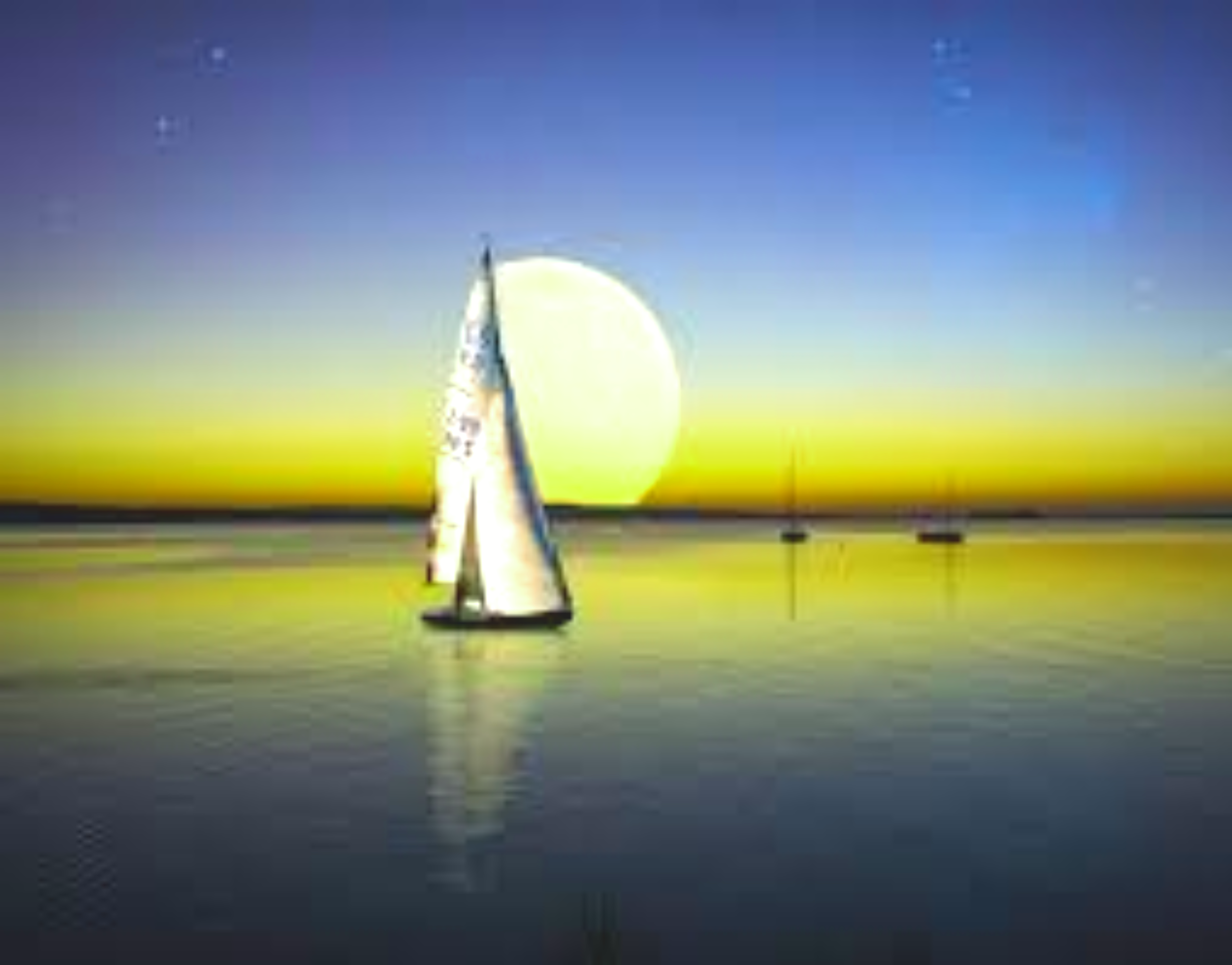 Shop cover image