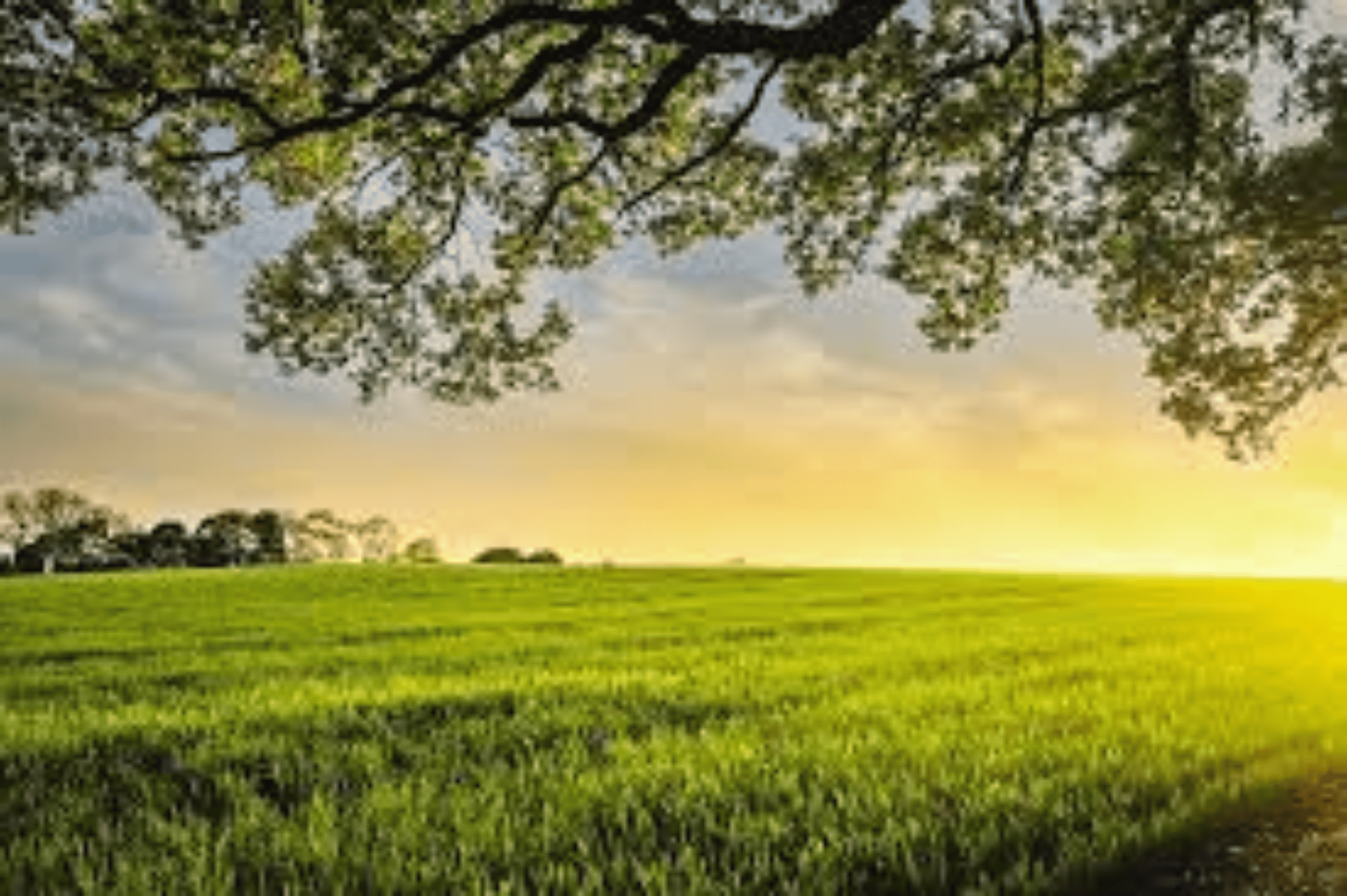 Shop cover image