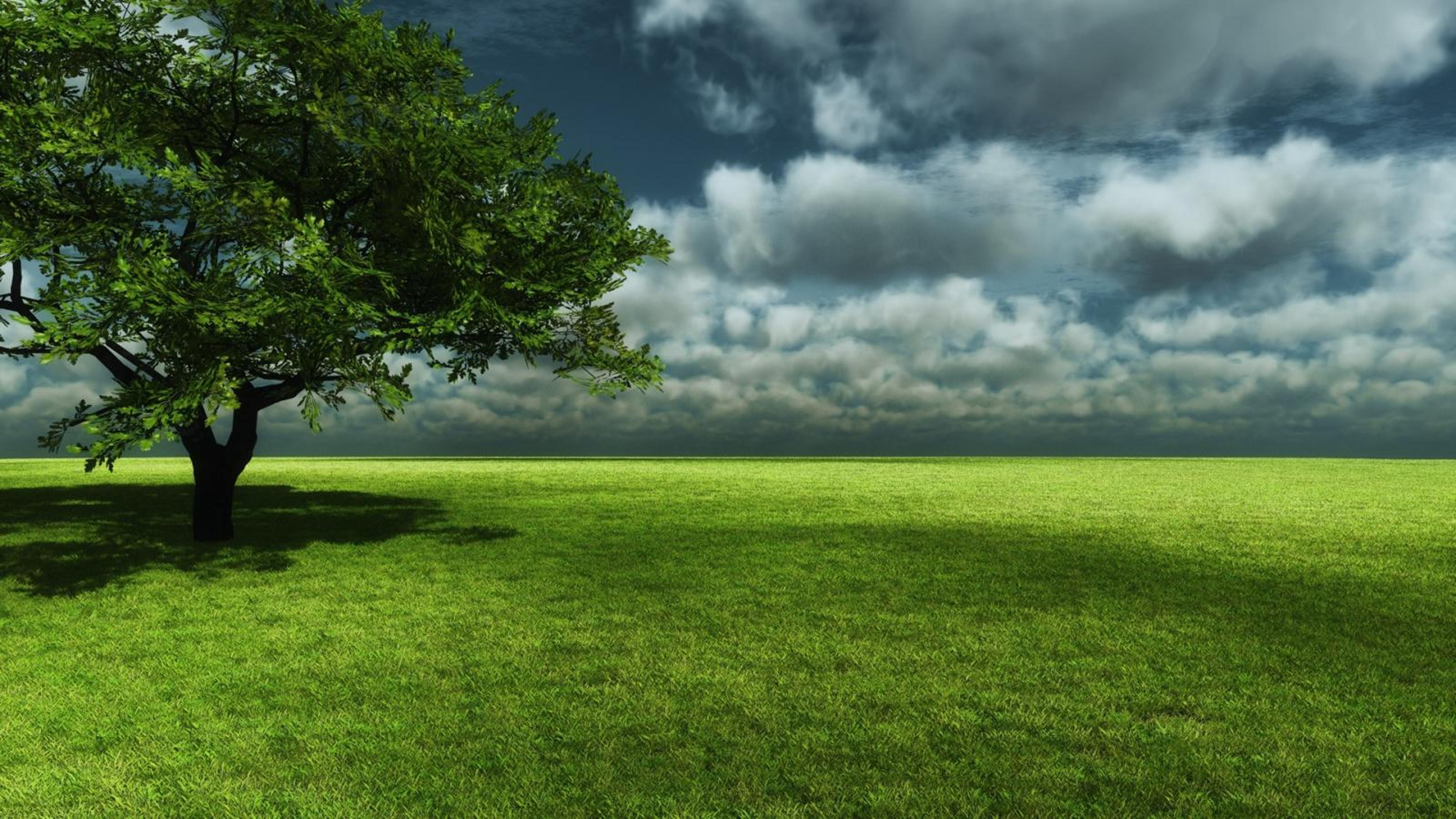 Shop cover image