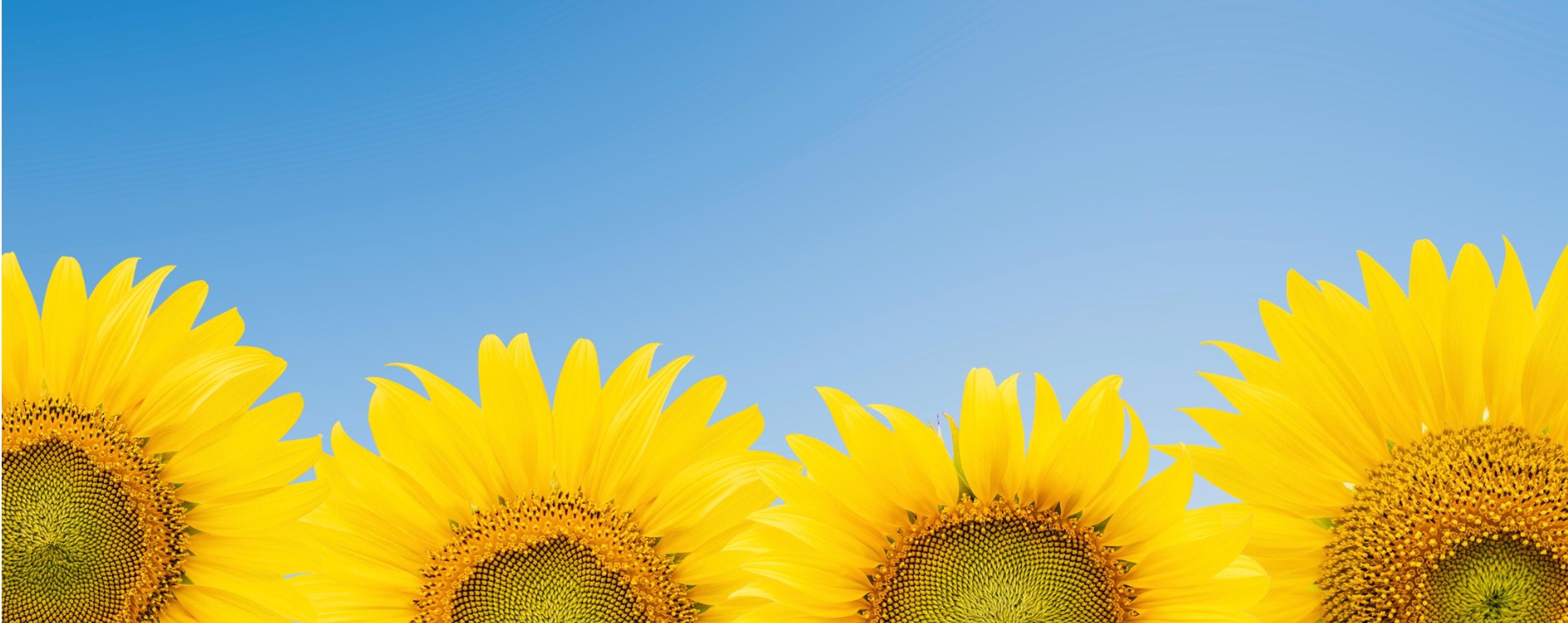Shop cover image