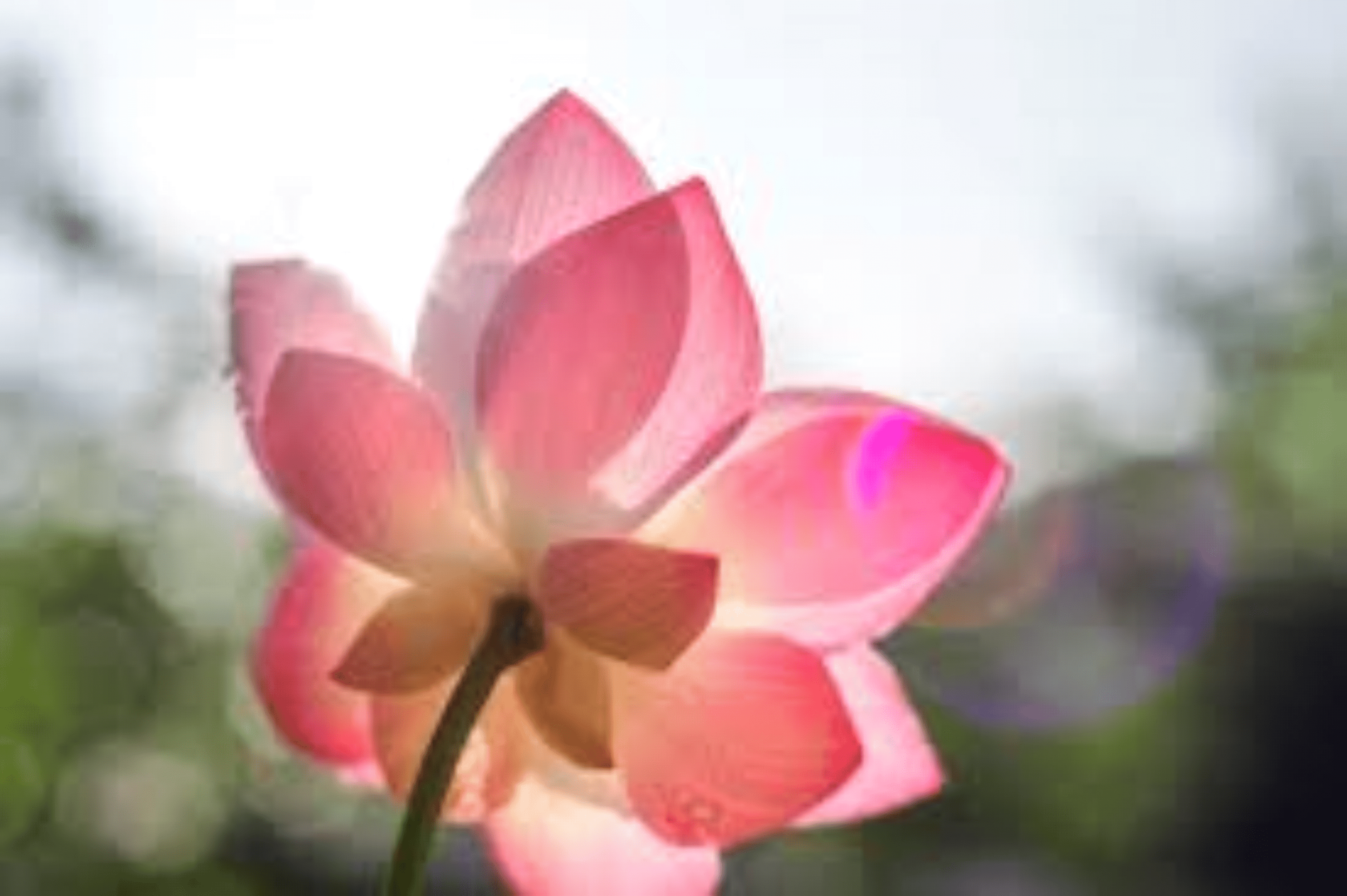 Shop cover image