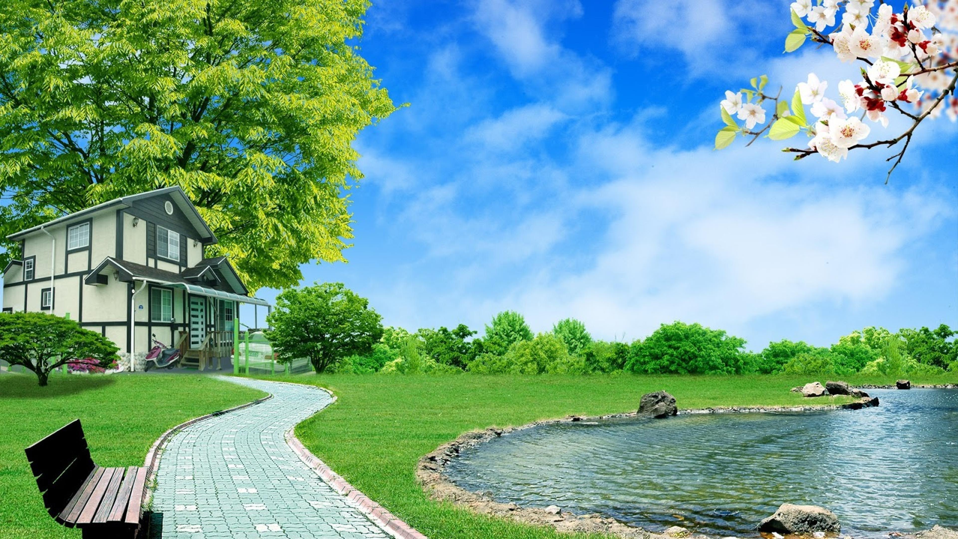 Shop cover image