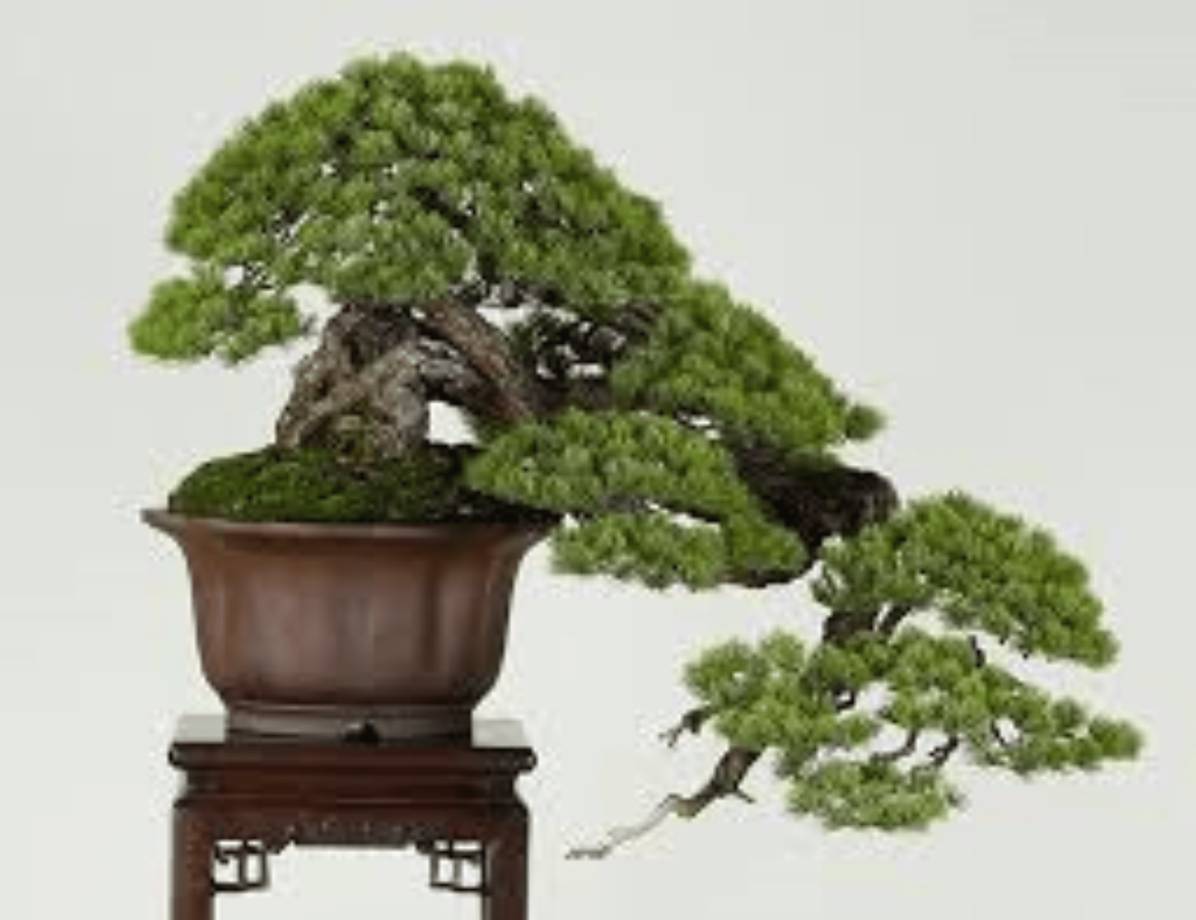 Shop cover image