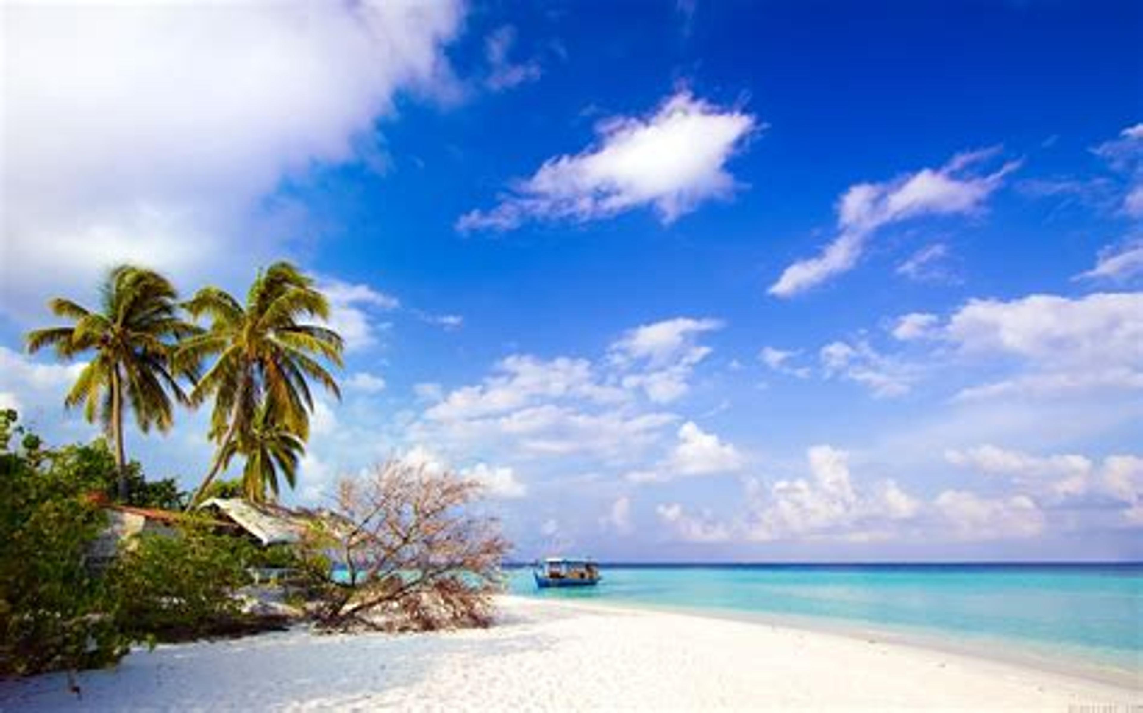 Shop cover image