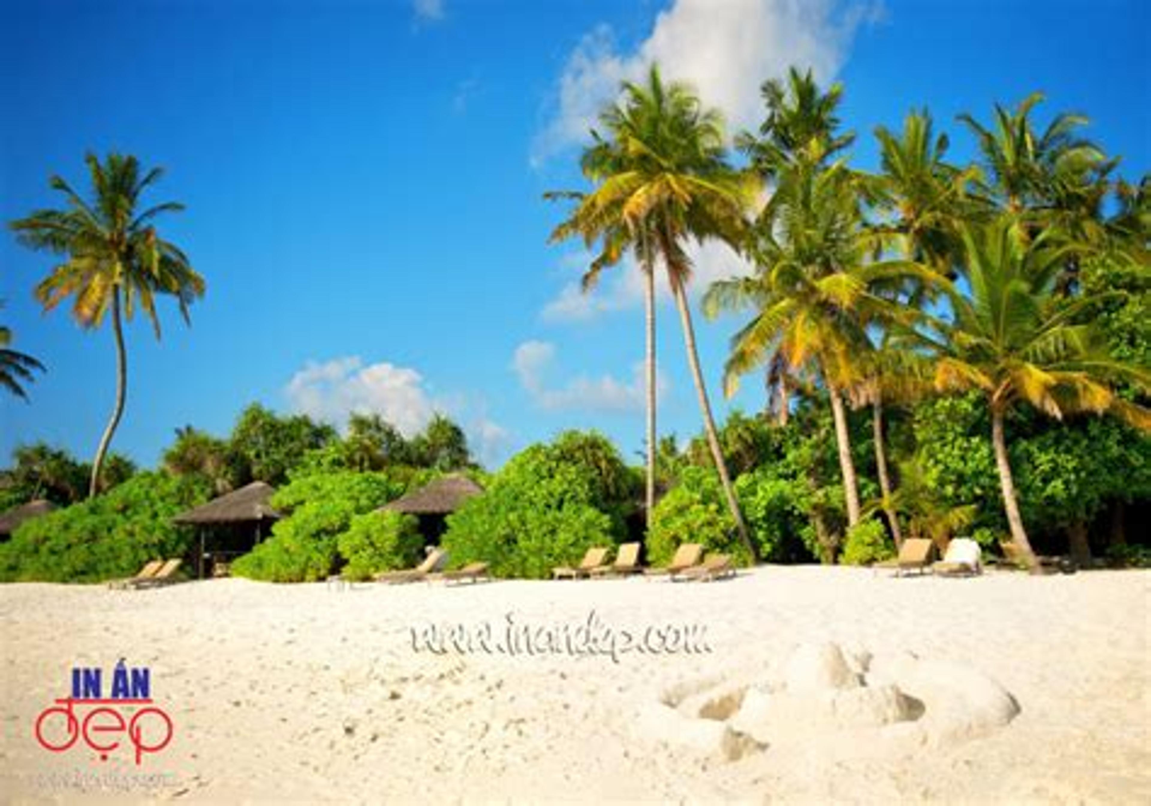 Shop cover image