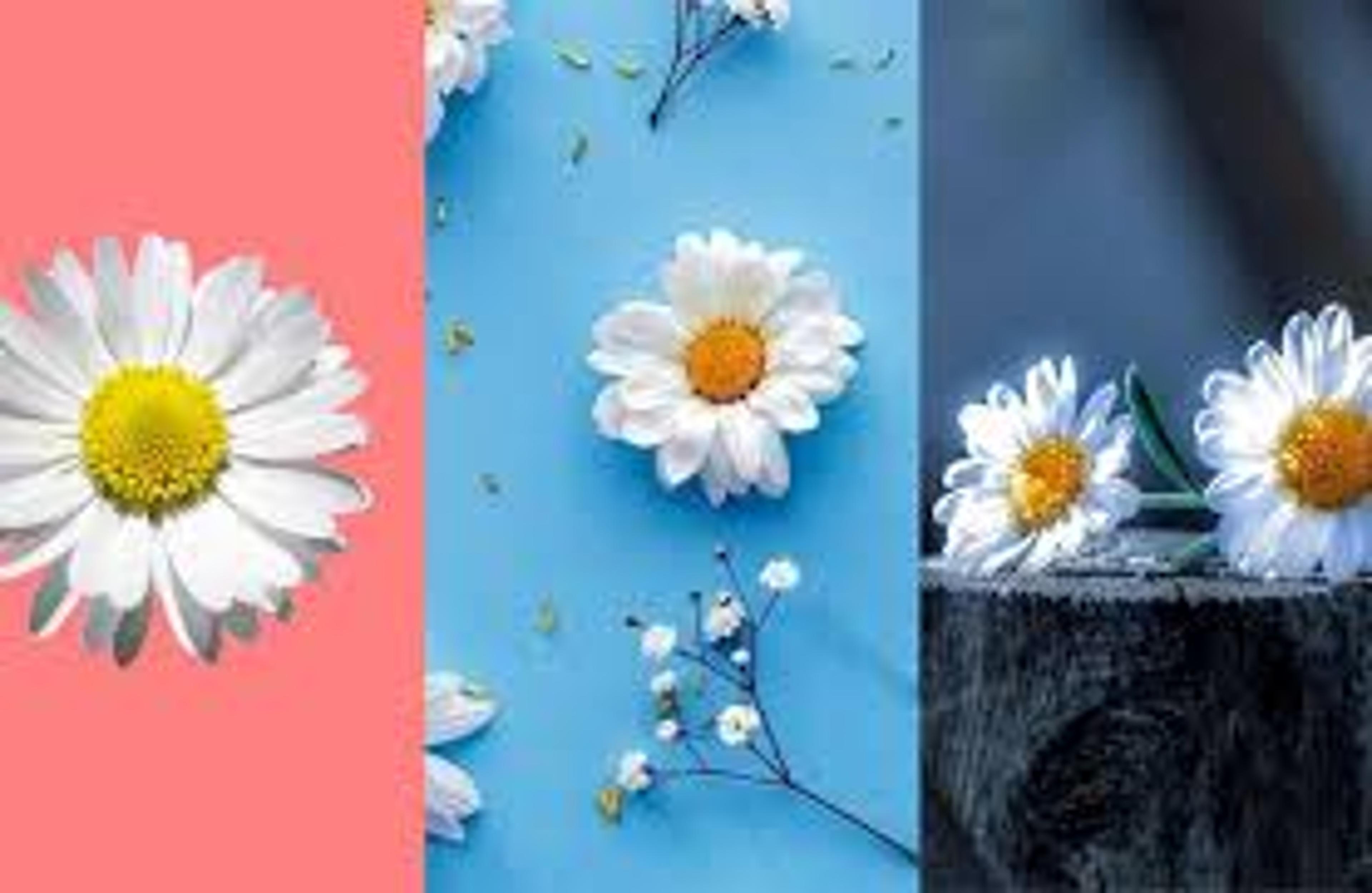 Shop cover image