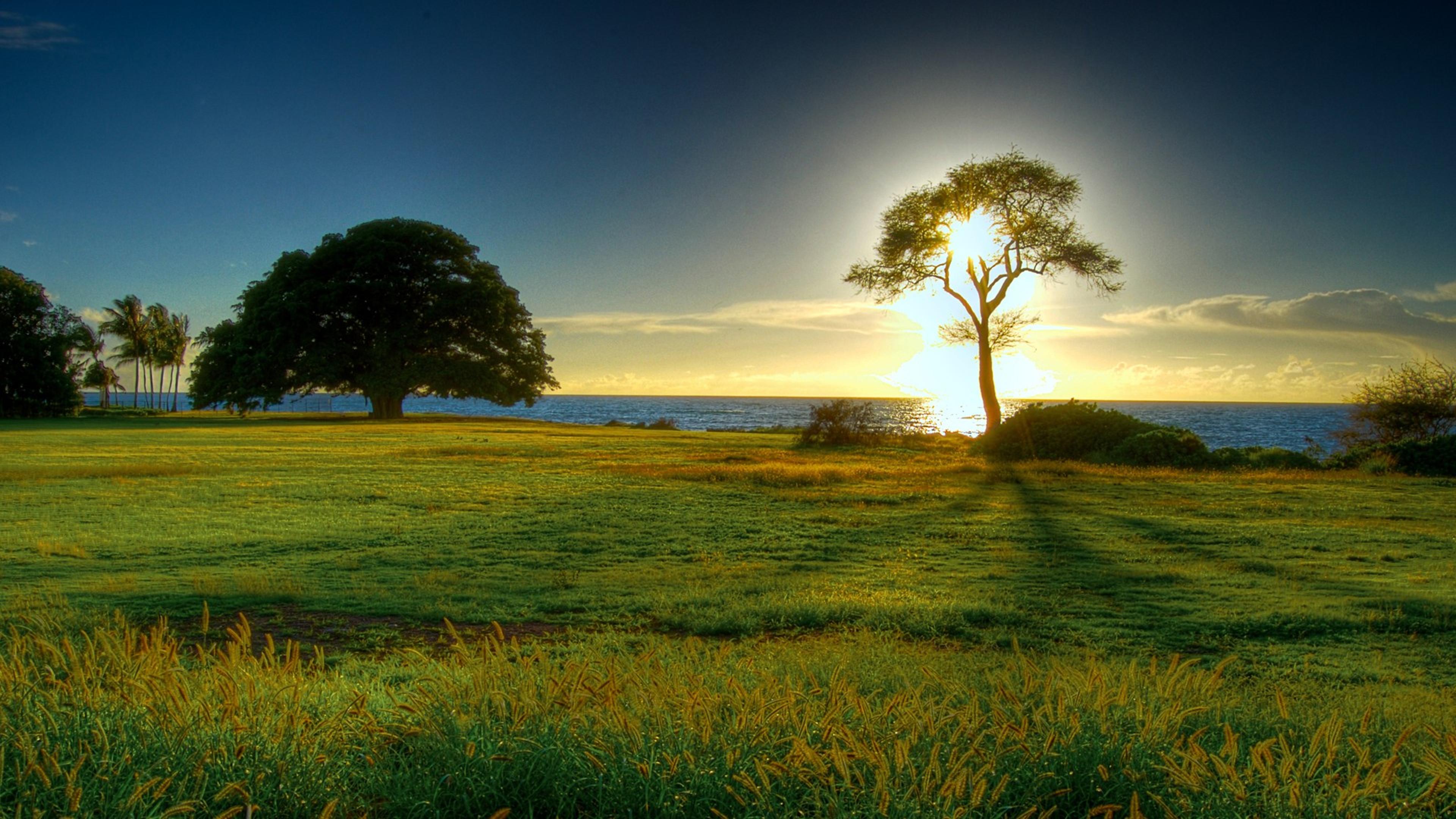 Shop cover image
