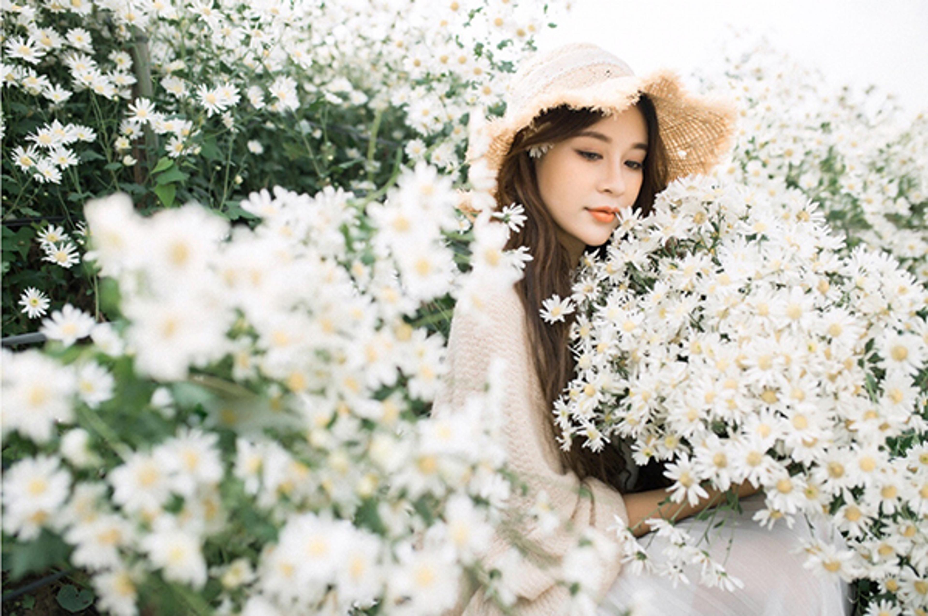Shop cover image