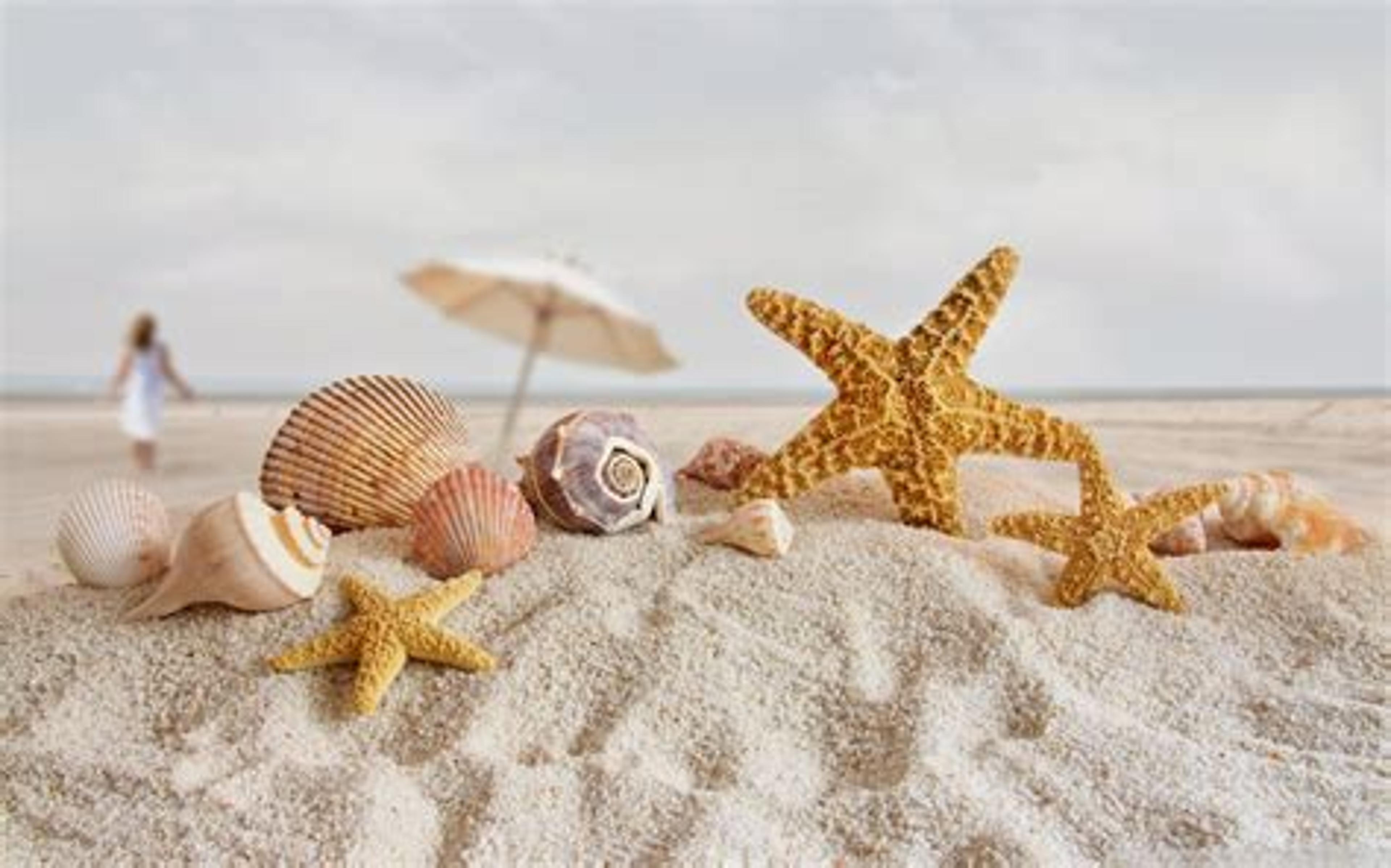 Shop cover image