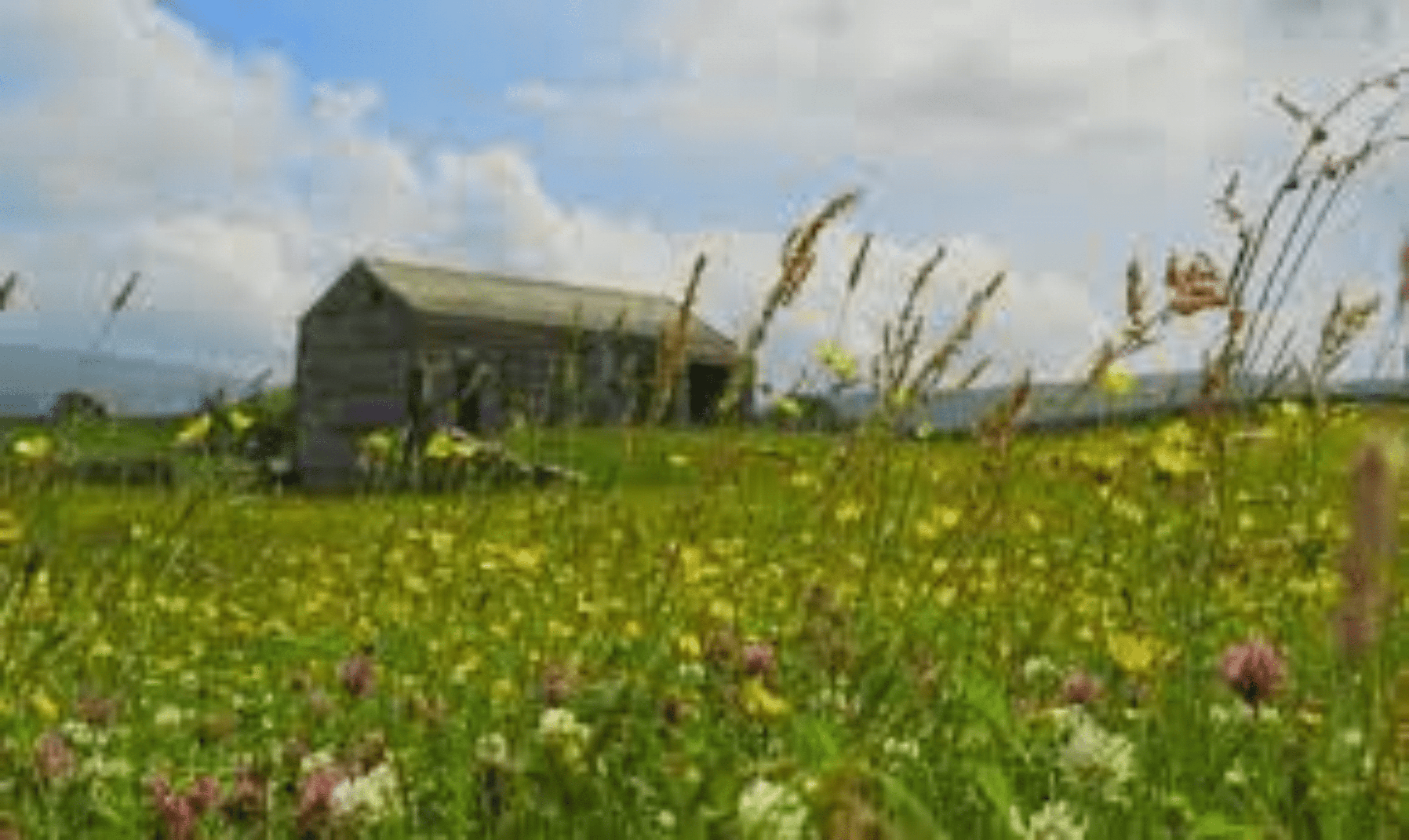 Shop cover image