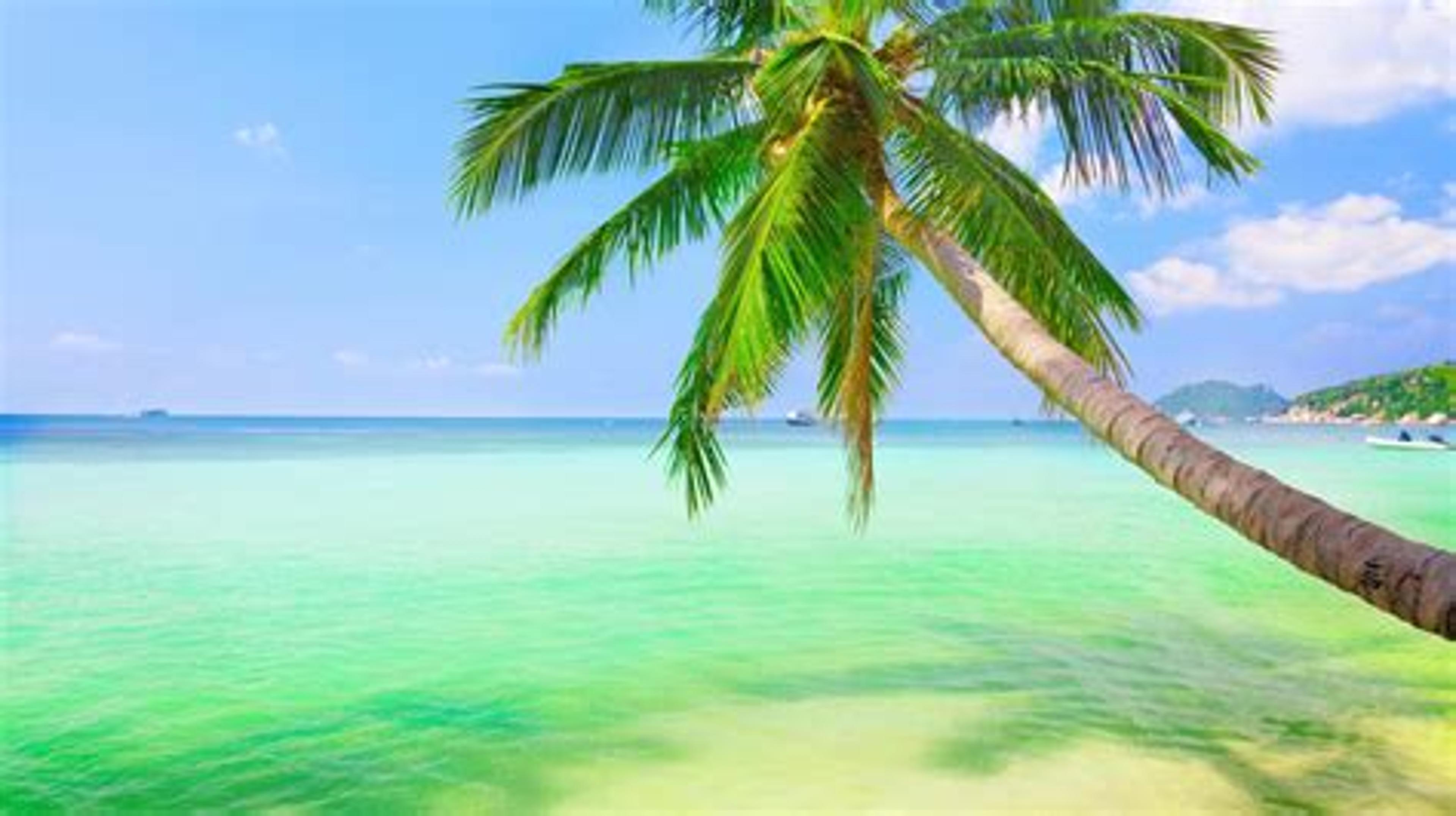 Shop cover image