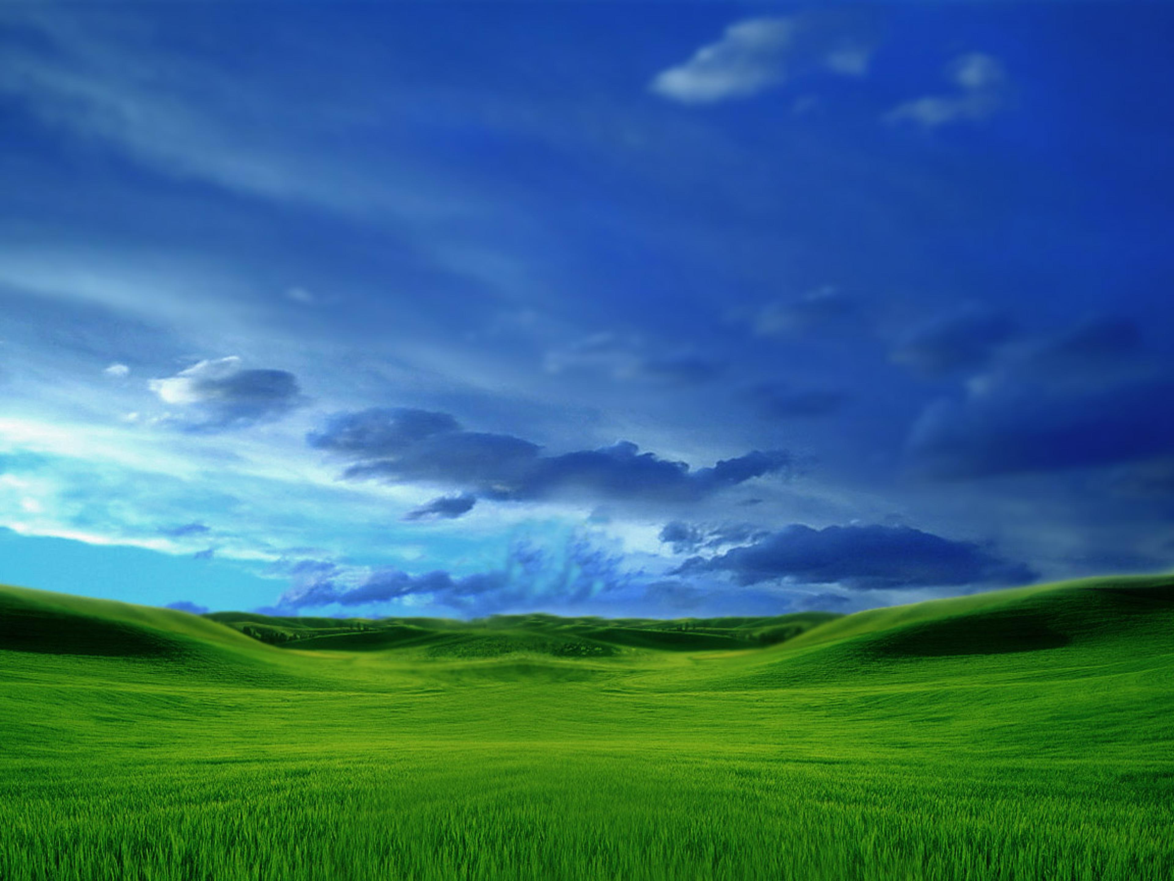 Shop cover image
