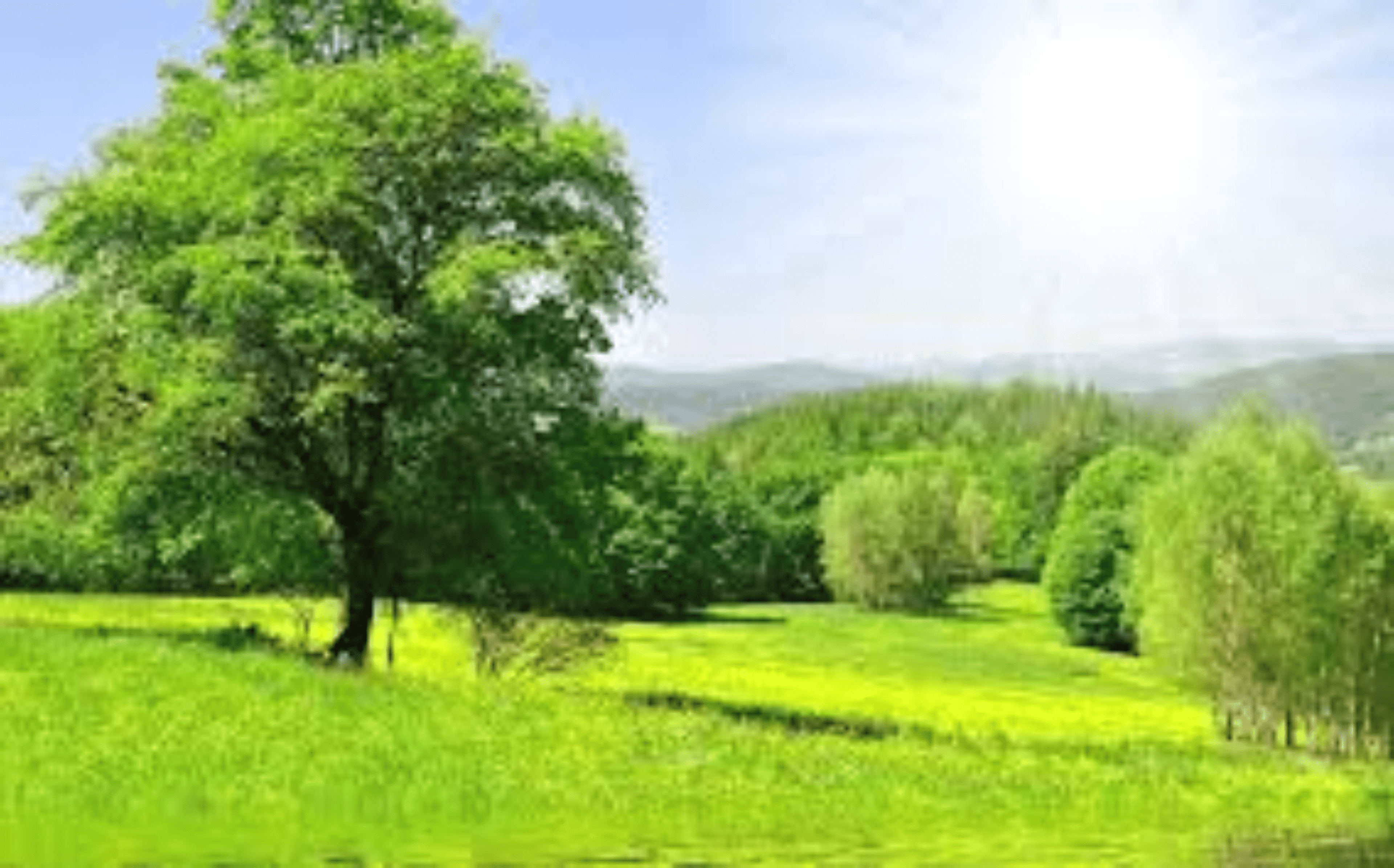 Shop cover image