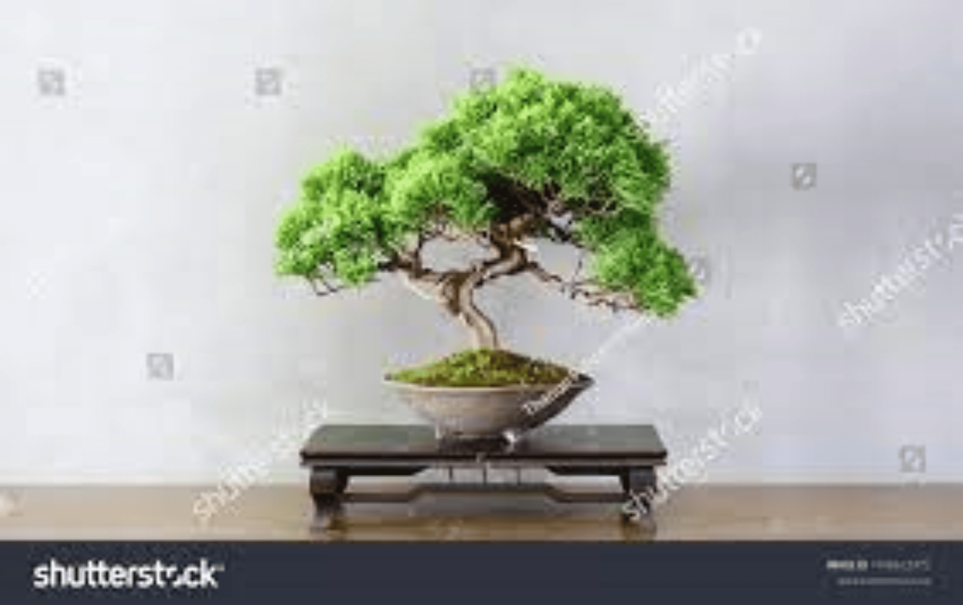 Shop cover image