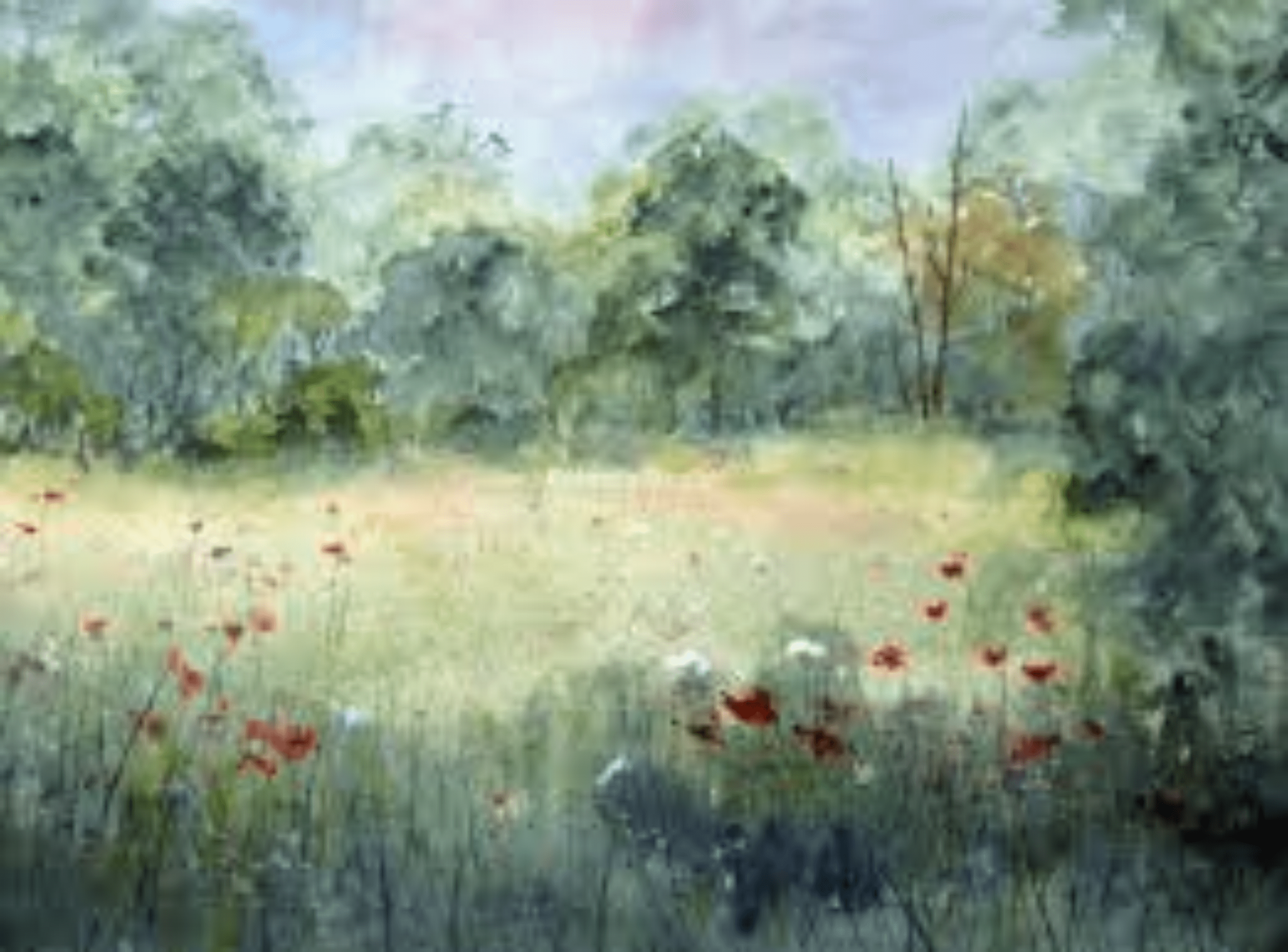Shop cover image