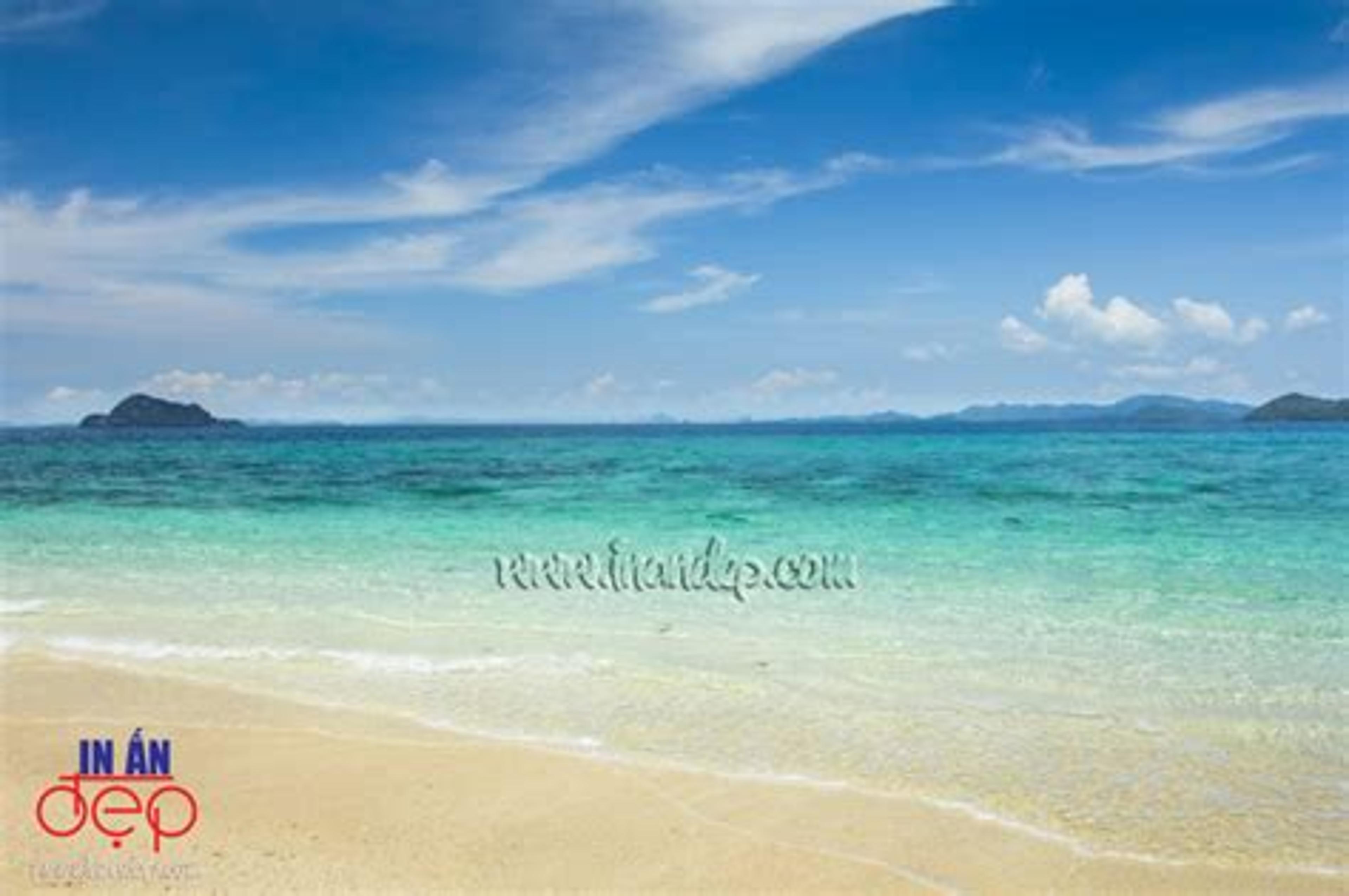 Shop cover image