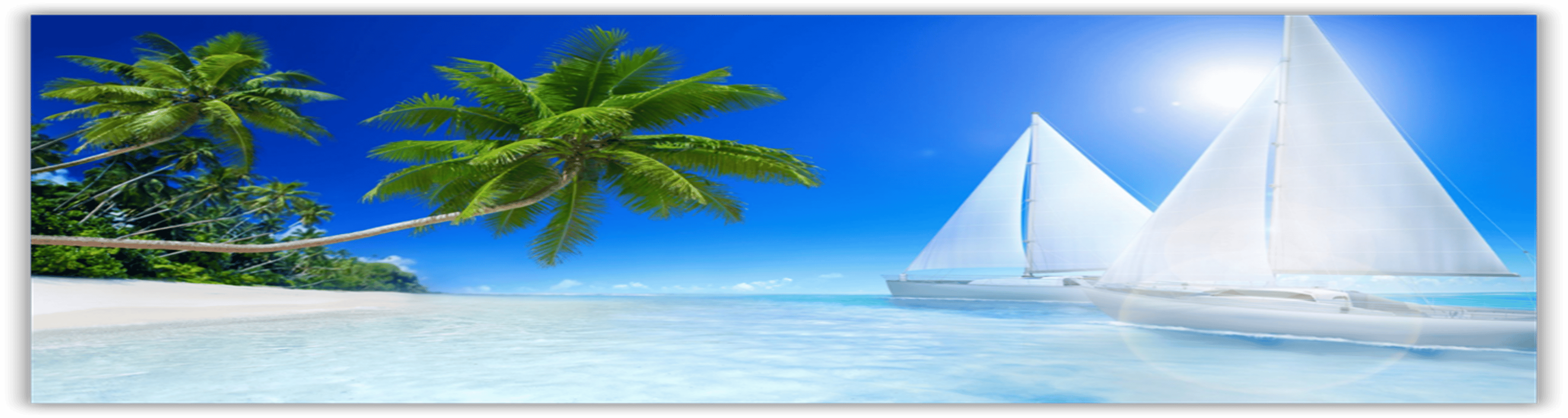 Shop cover image