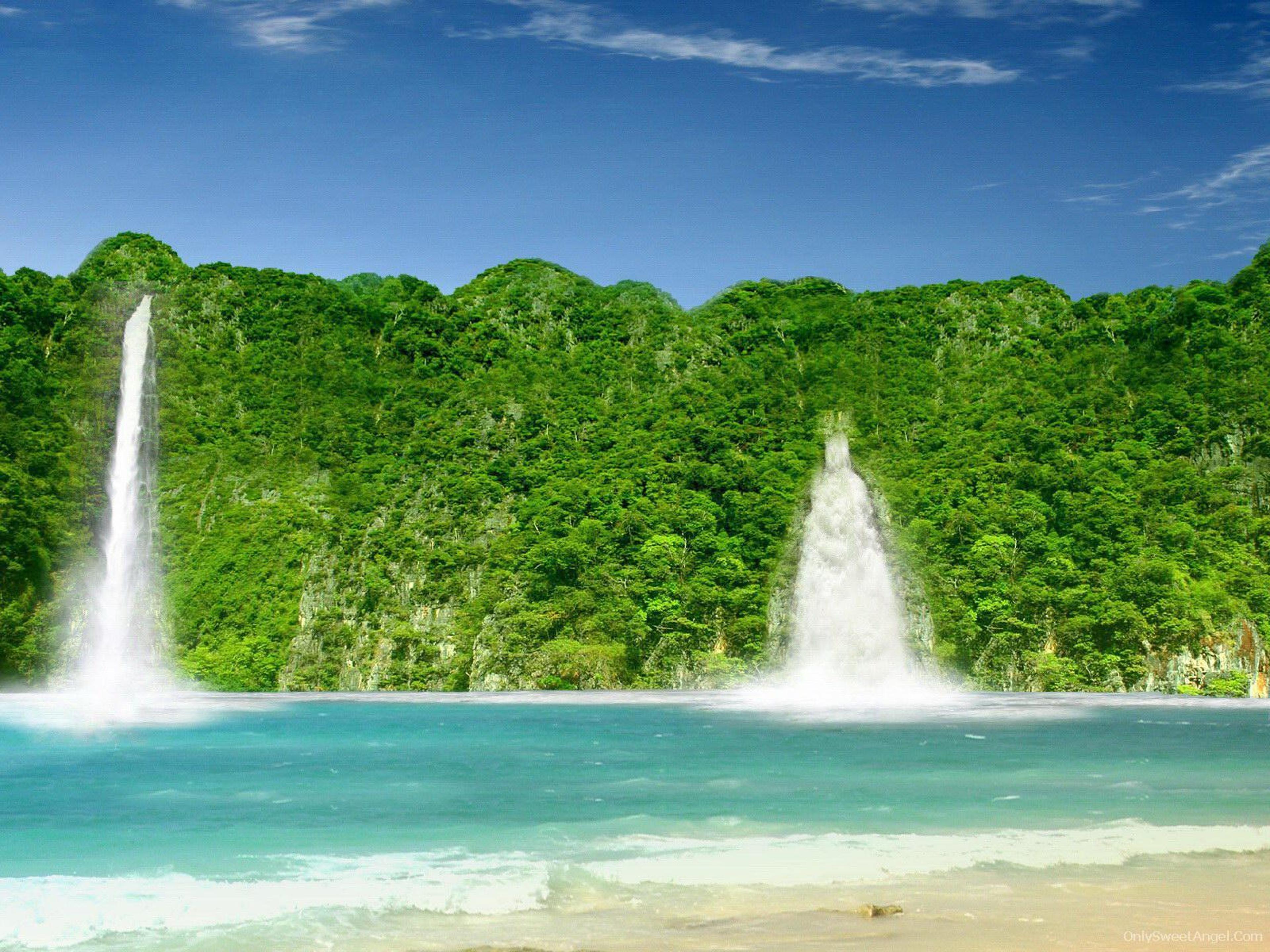 Shop cover image