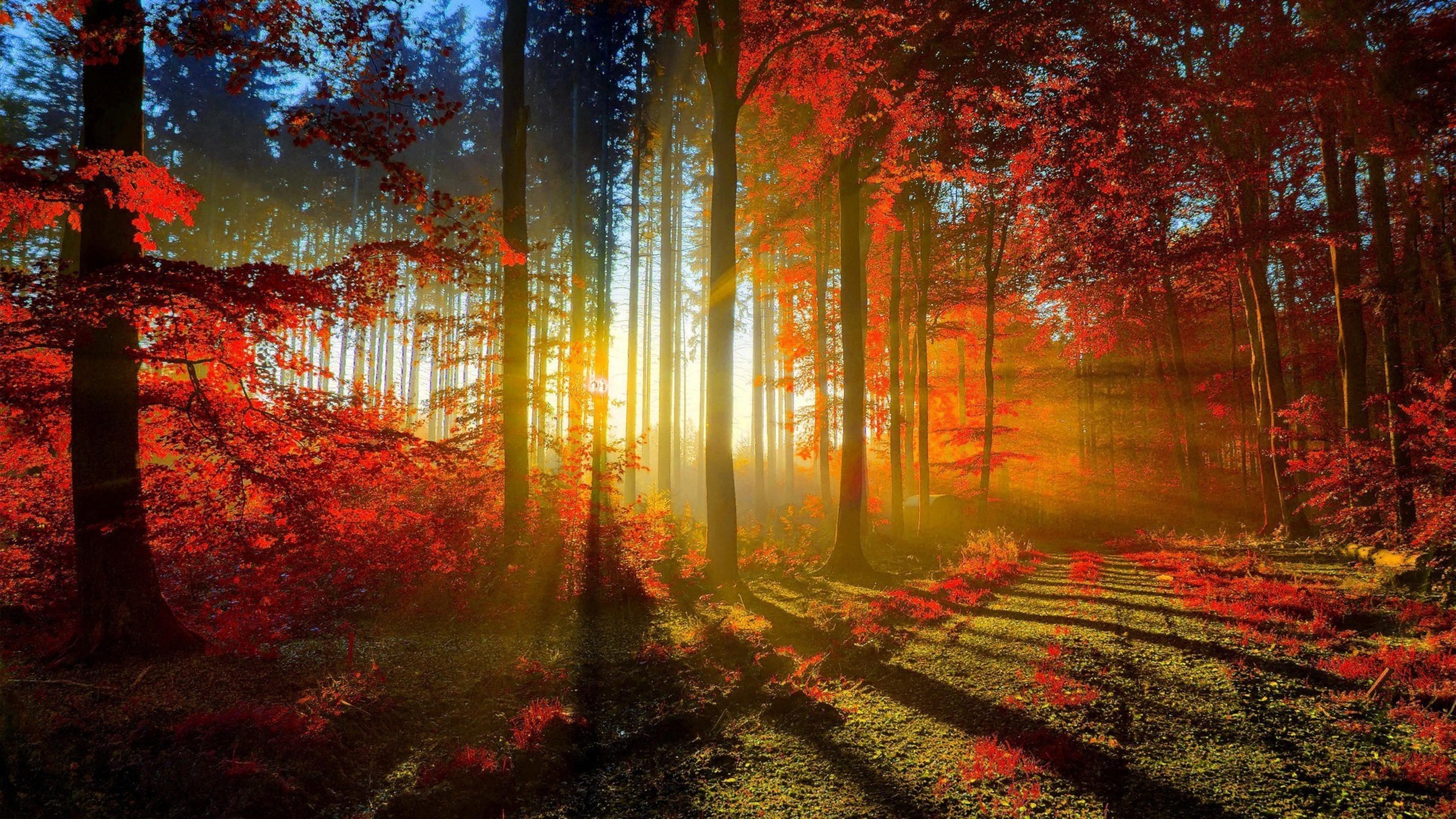 Shop cover image