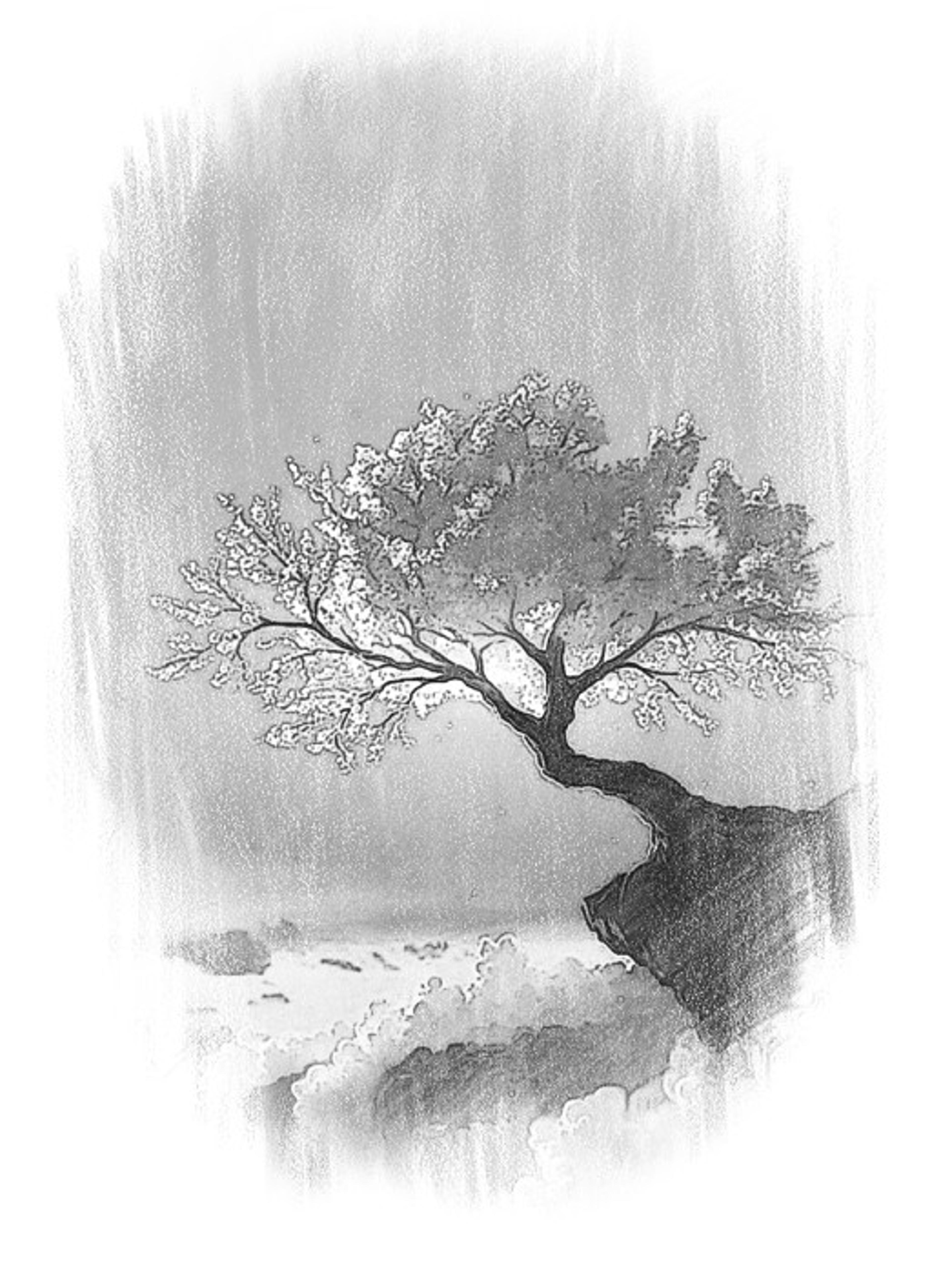Shop cover image
